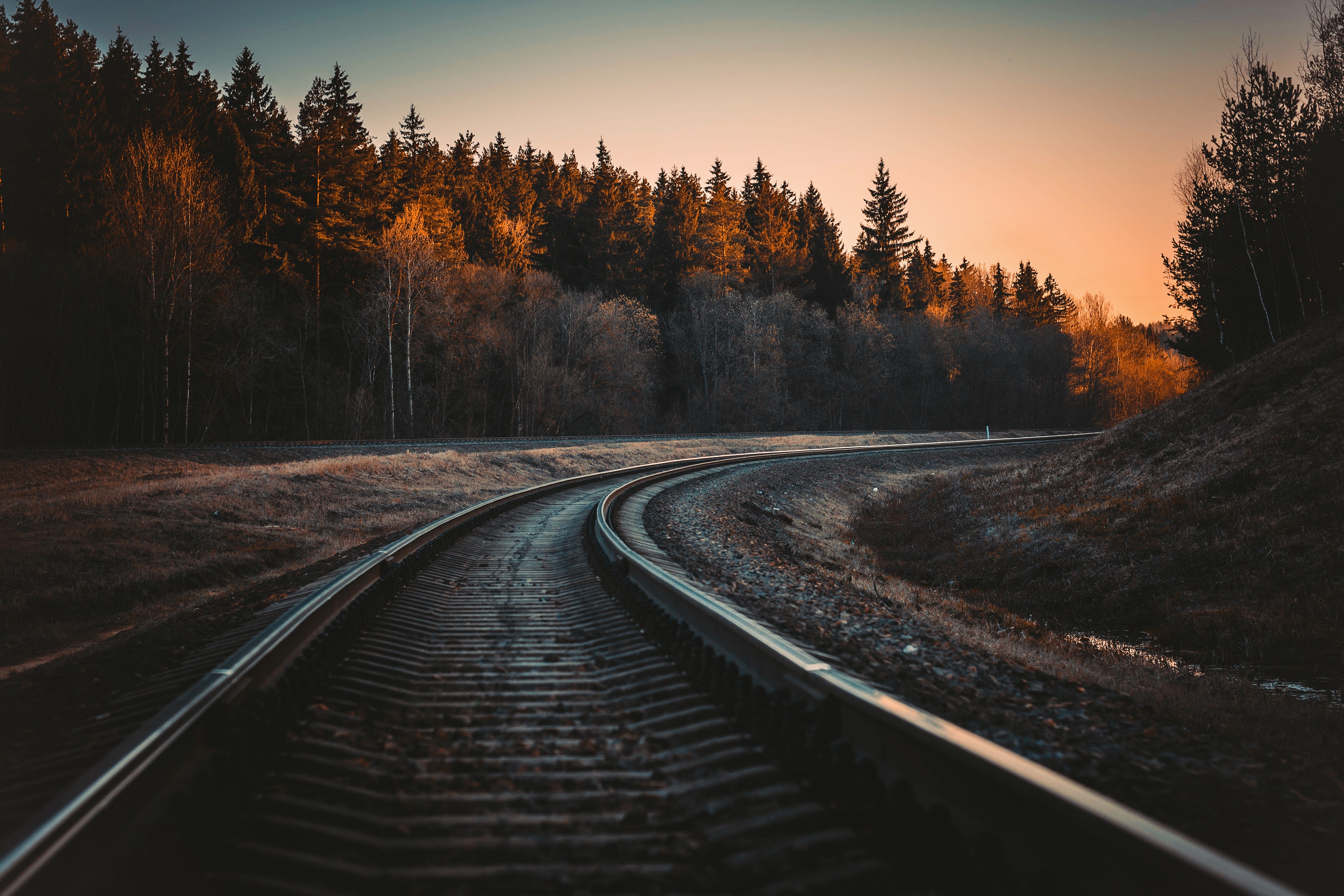 Railway Railroad Track Forest Nature Trees Landscape Sunlight Sunset Photography Unsplash 3826x2551