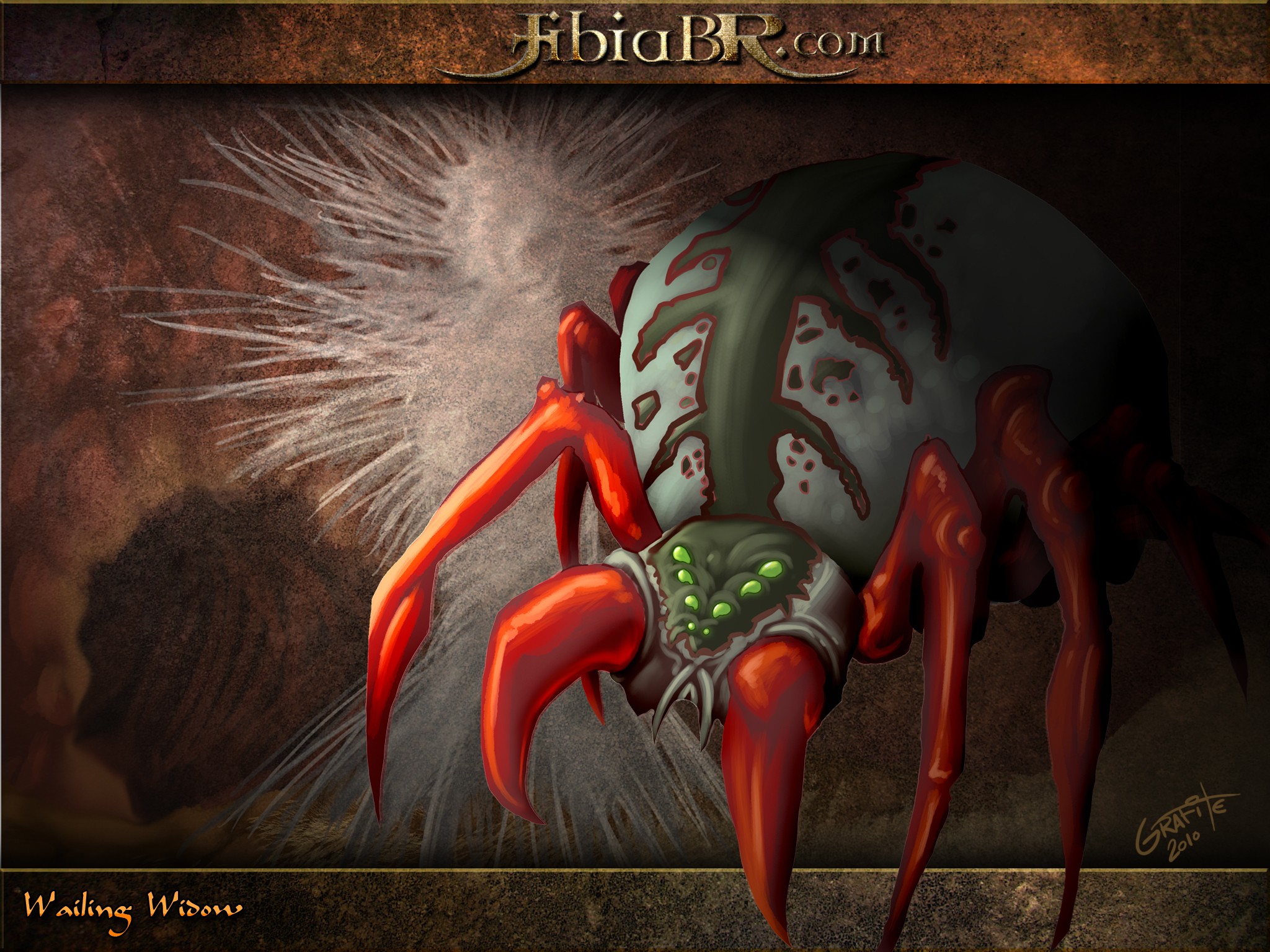 Tibia PC Gaming RPG Spider 2048x1536