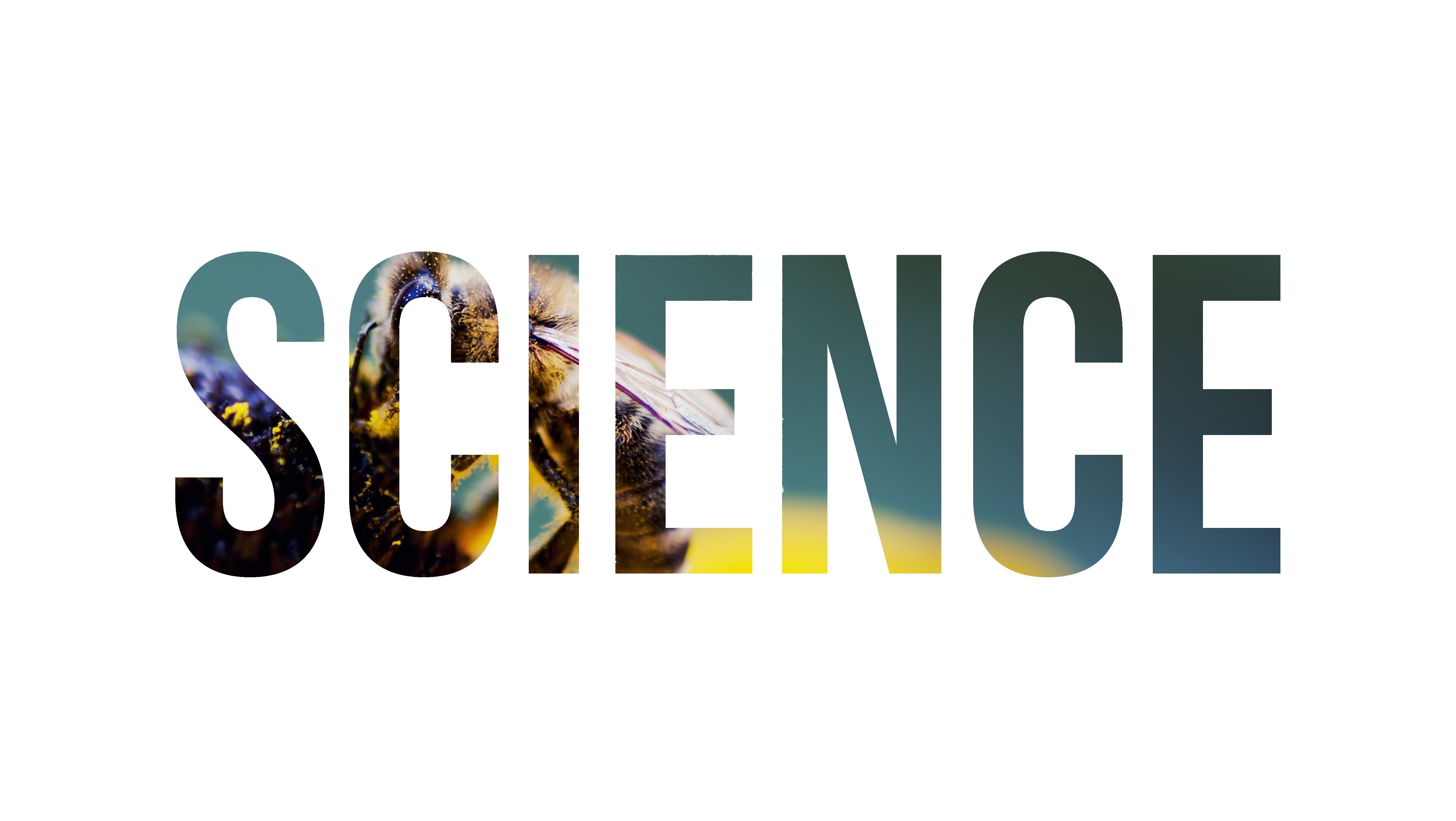 Science Nature Bees Insect Typography 5075x2863