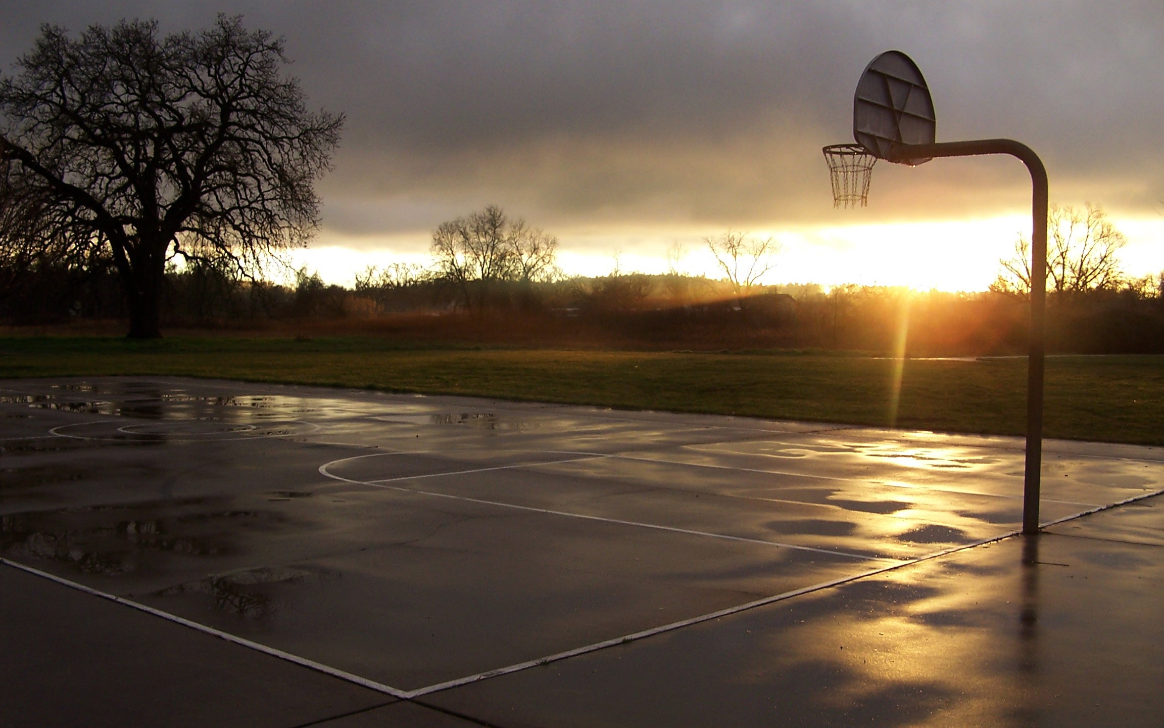 Basketball Sport Sports Basketball Court Sunset Hoop Wet 2304x1440