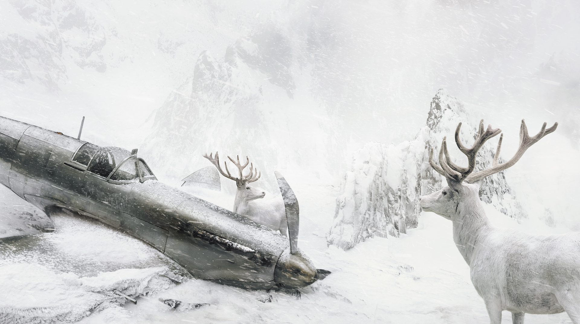 Nature Landscape Martin Stranka Photoshop Animals Winter Snow Deer Airplane Crash Accidents Mountain 1920x1075