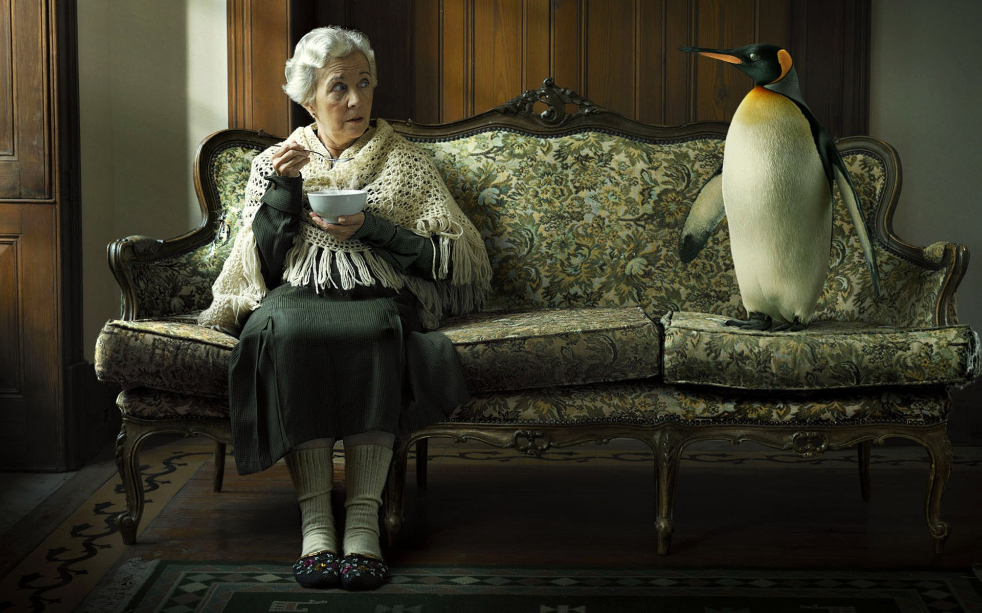 Penguins Couch Carpets Sitting Birds Soup Old People 1920x1200