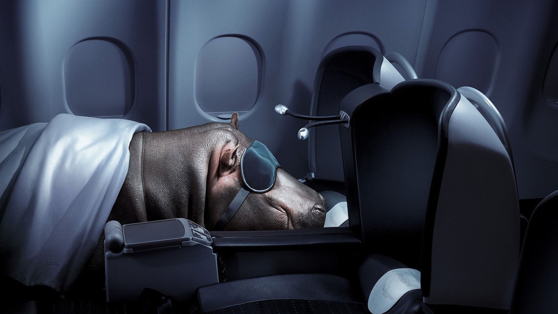 Hippos Interior Humor Digital Art Airplane Sleeping Chair 1920x1080