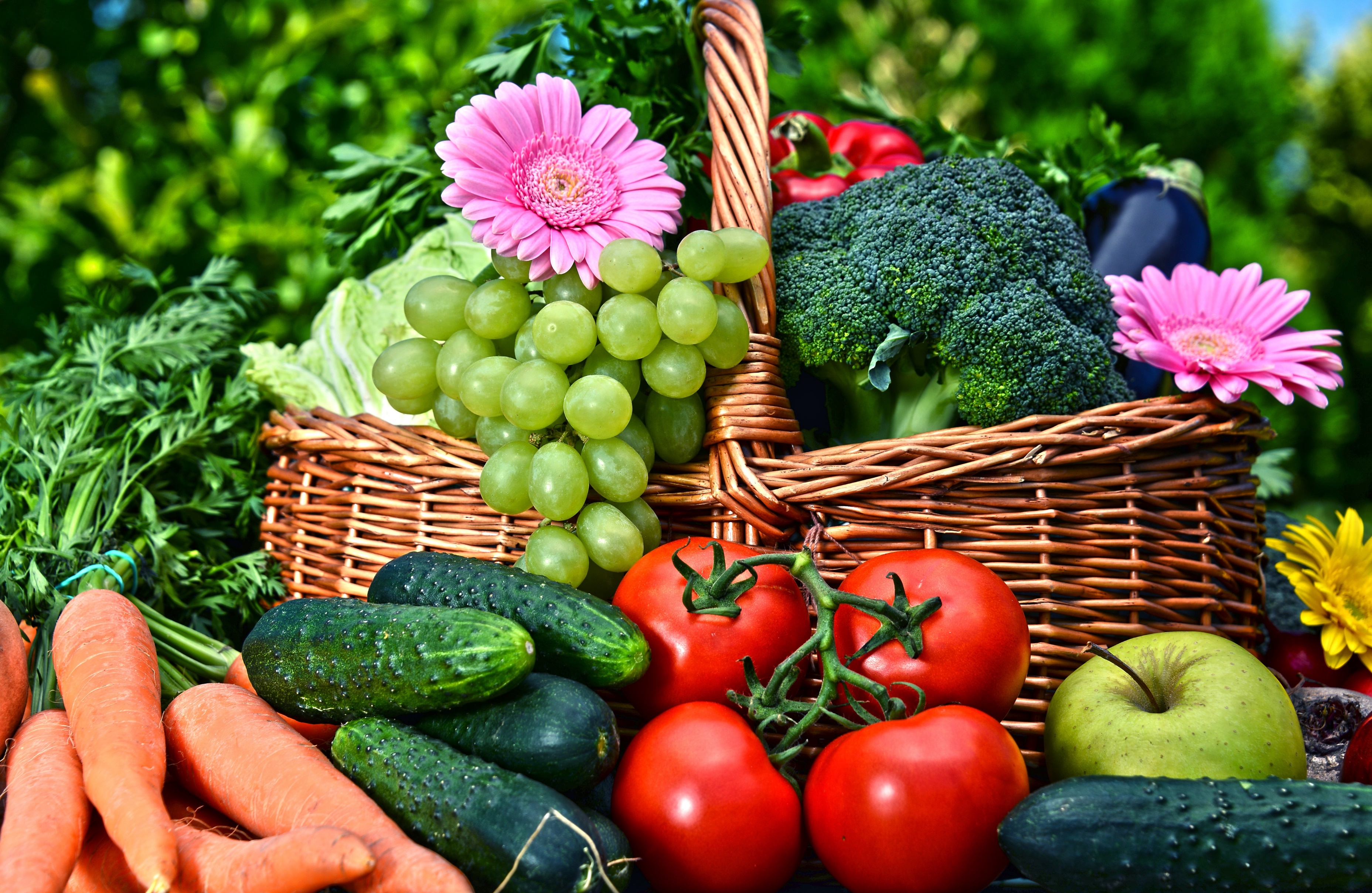Food Fruit Flowers Still Life Baskets Vegetables Grapes Carrots Cucumber Tomatoes Apples Broccoli Eg 3713x2419