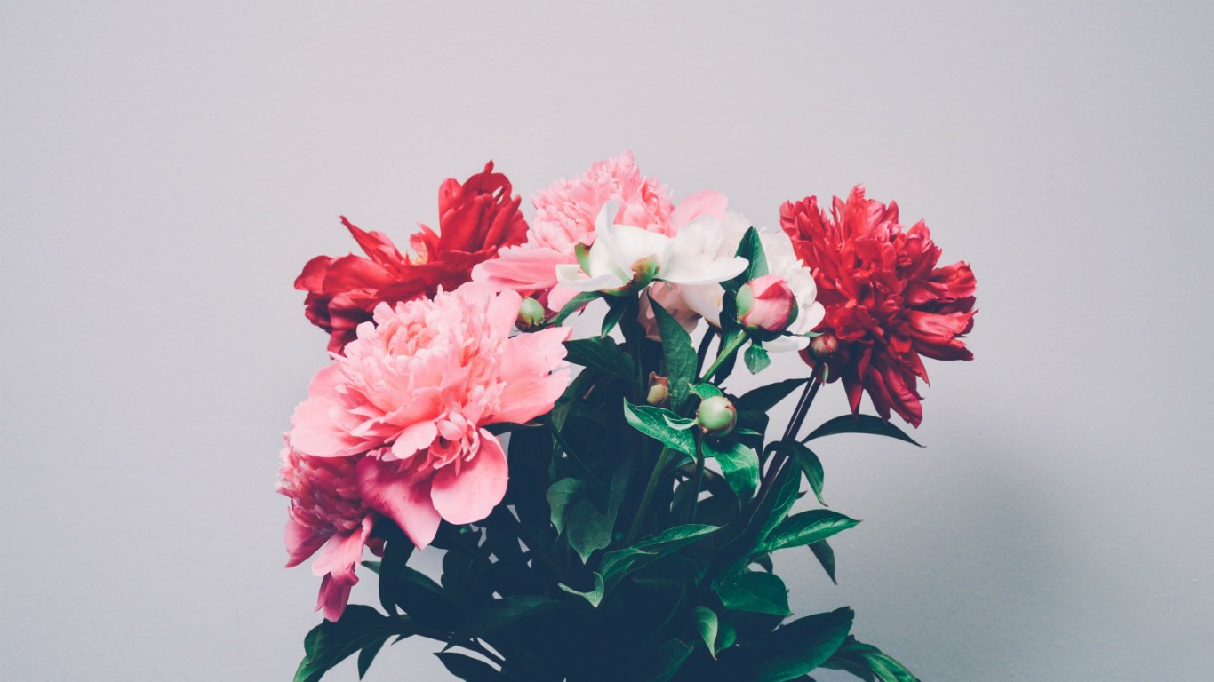Flowers Red Flowers Pink Flowers Bouquets 1366x768