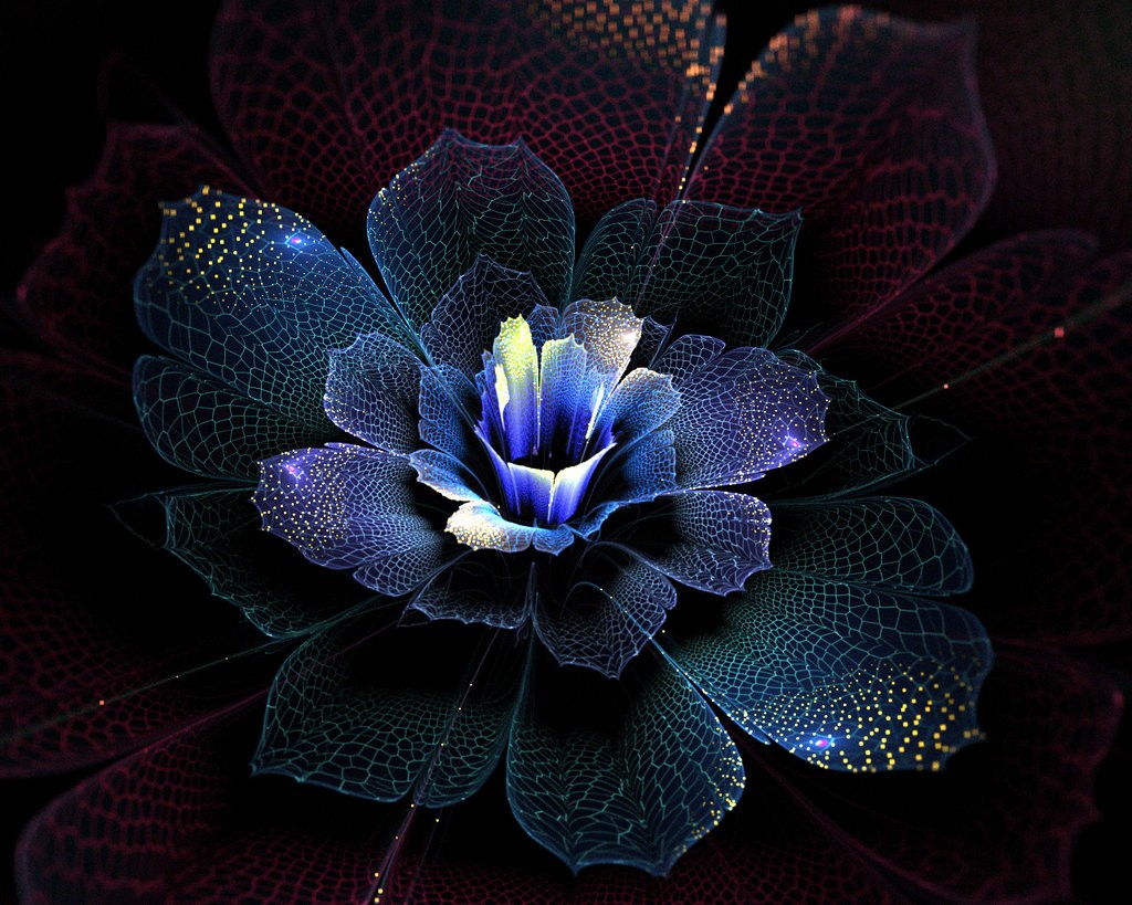 Abstract Fractal Fractal Flowers 1024x819