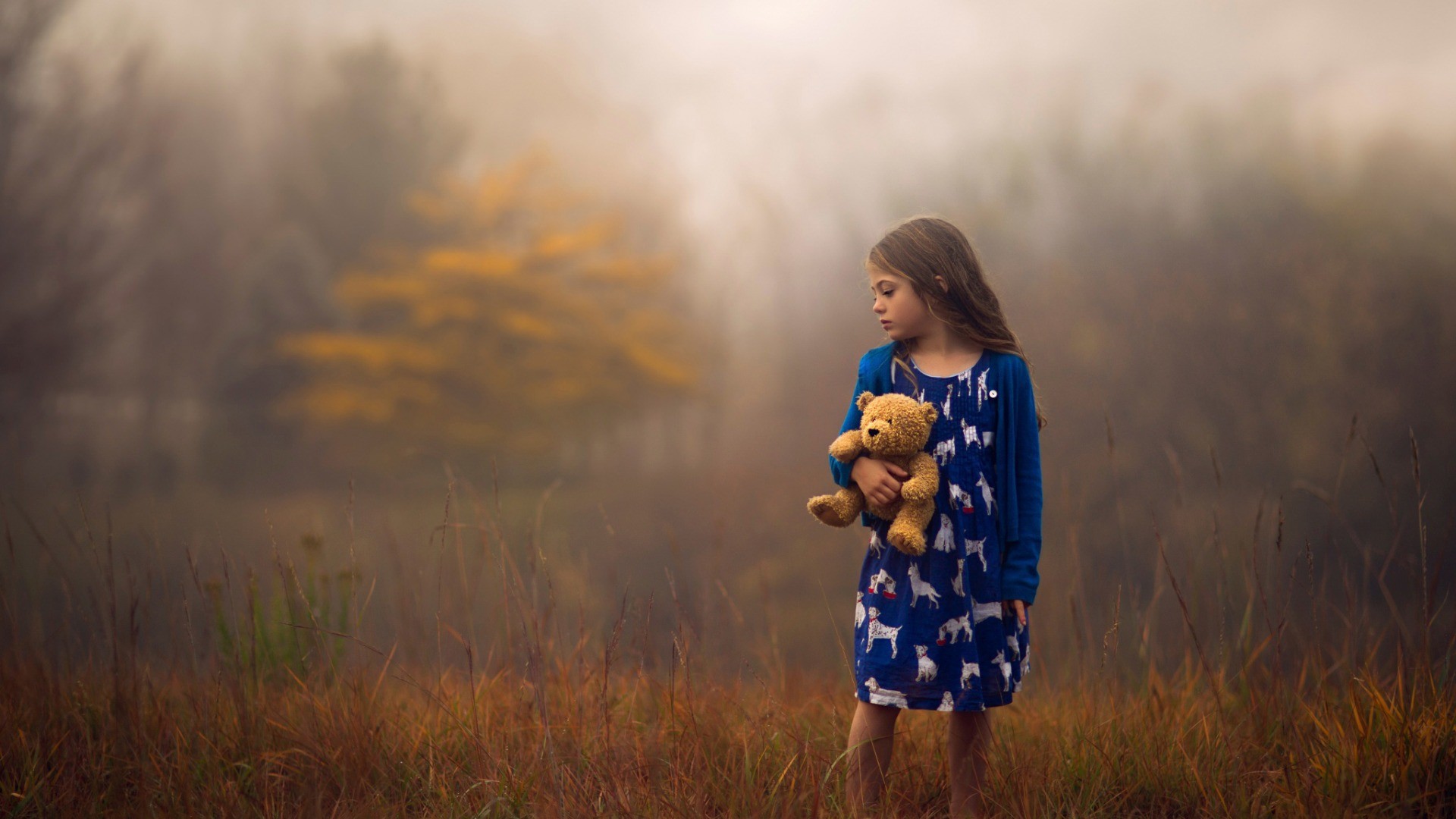 Children Teddy Bears Blue Dress Depth Of Field Jake Olson Brunette 1920x1080
