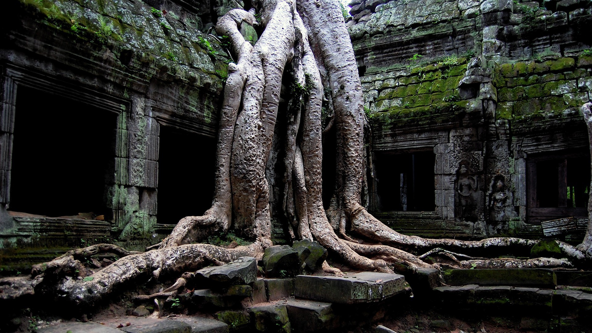 Temple Angkor Wat Monastery Abandoned Ruins Cambodia Nature 1920x1080