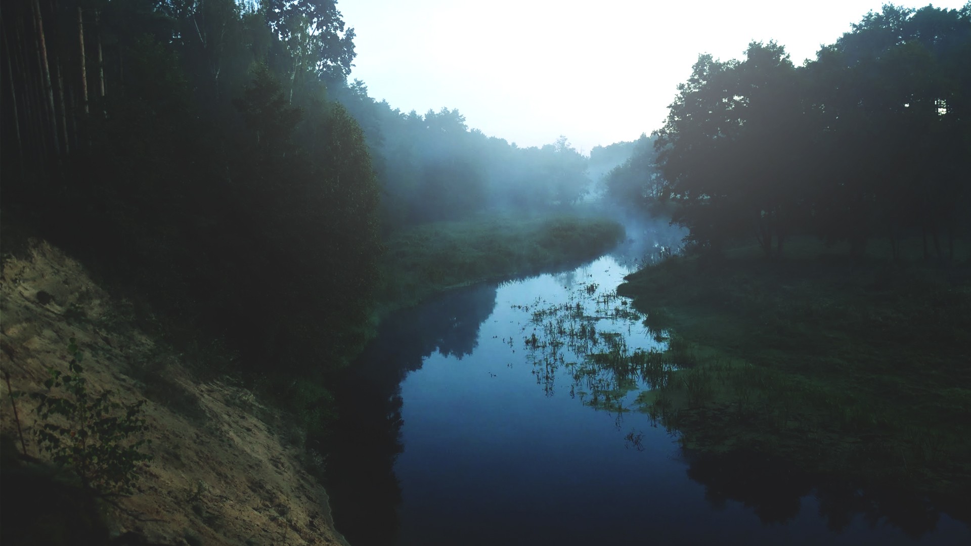 Landscape River Morning Sun Clear Sky Oak Trees Forest Photography Justyna Ferska Poland 1920x1080