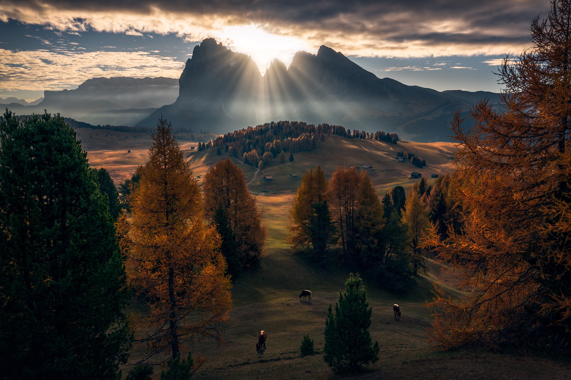 Dolomites Mountains Nature Fall Clouds Animals Sun Rays Landscape Hills 1920x1280
