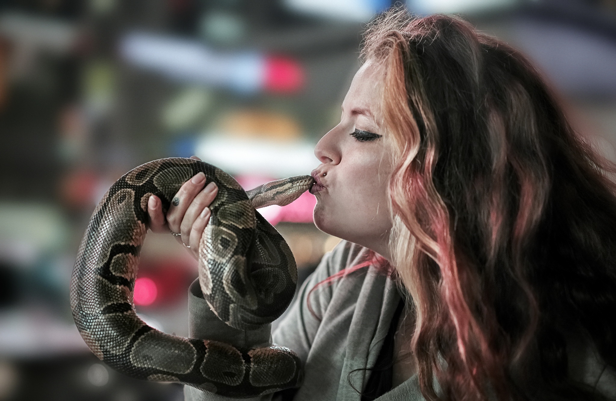 Kissing Snake Animals Women Reptiles 2047x1333