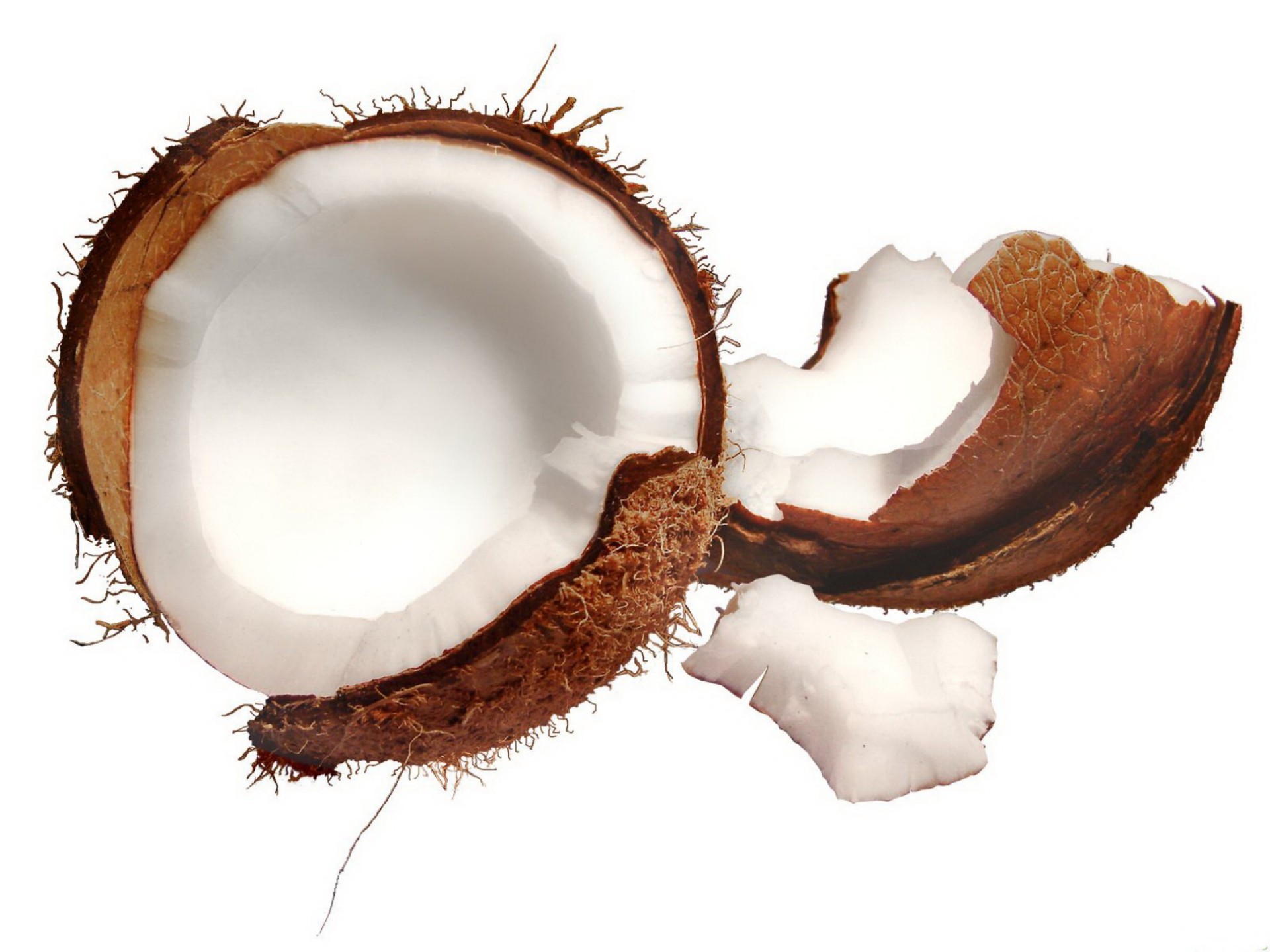 Food Coconut 1920x1439