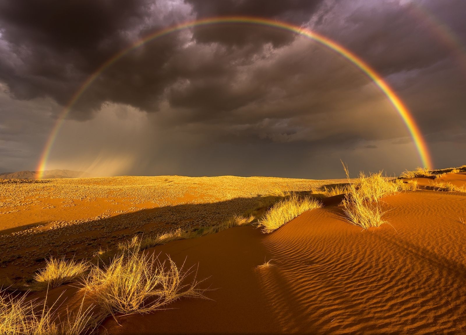Landscape Photography Nature Rainbows Desert Sand Dark Clouds Dry Grass Sunlight Storm 1600x1152