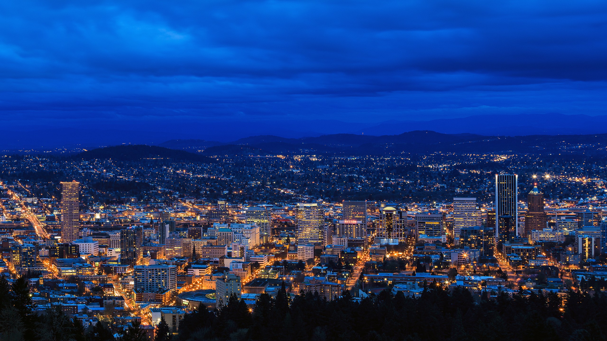 City Portland Cityscape City Lights Blue Night 2560x1440