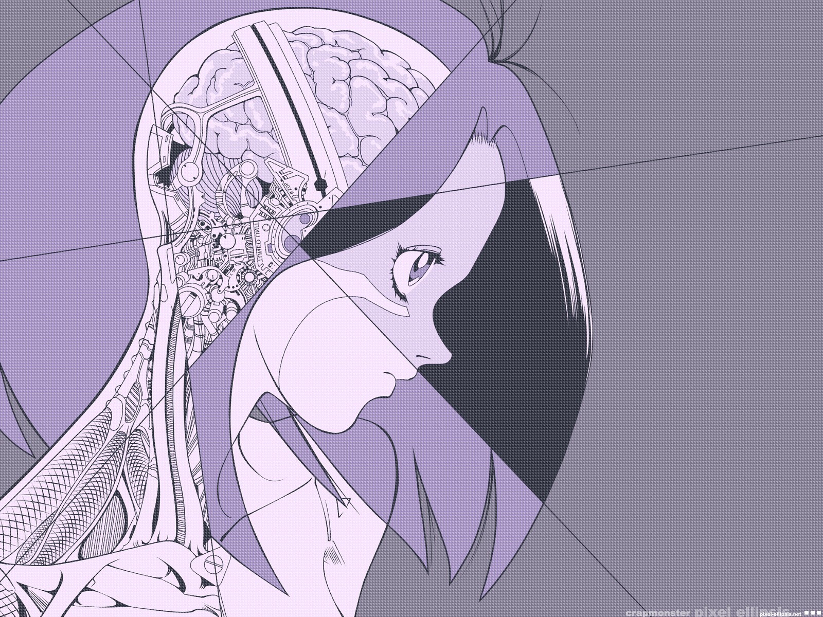 Anime Battle Angel Alita Anatomy Brain Gally 1600x1200