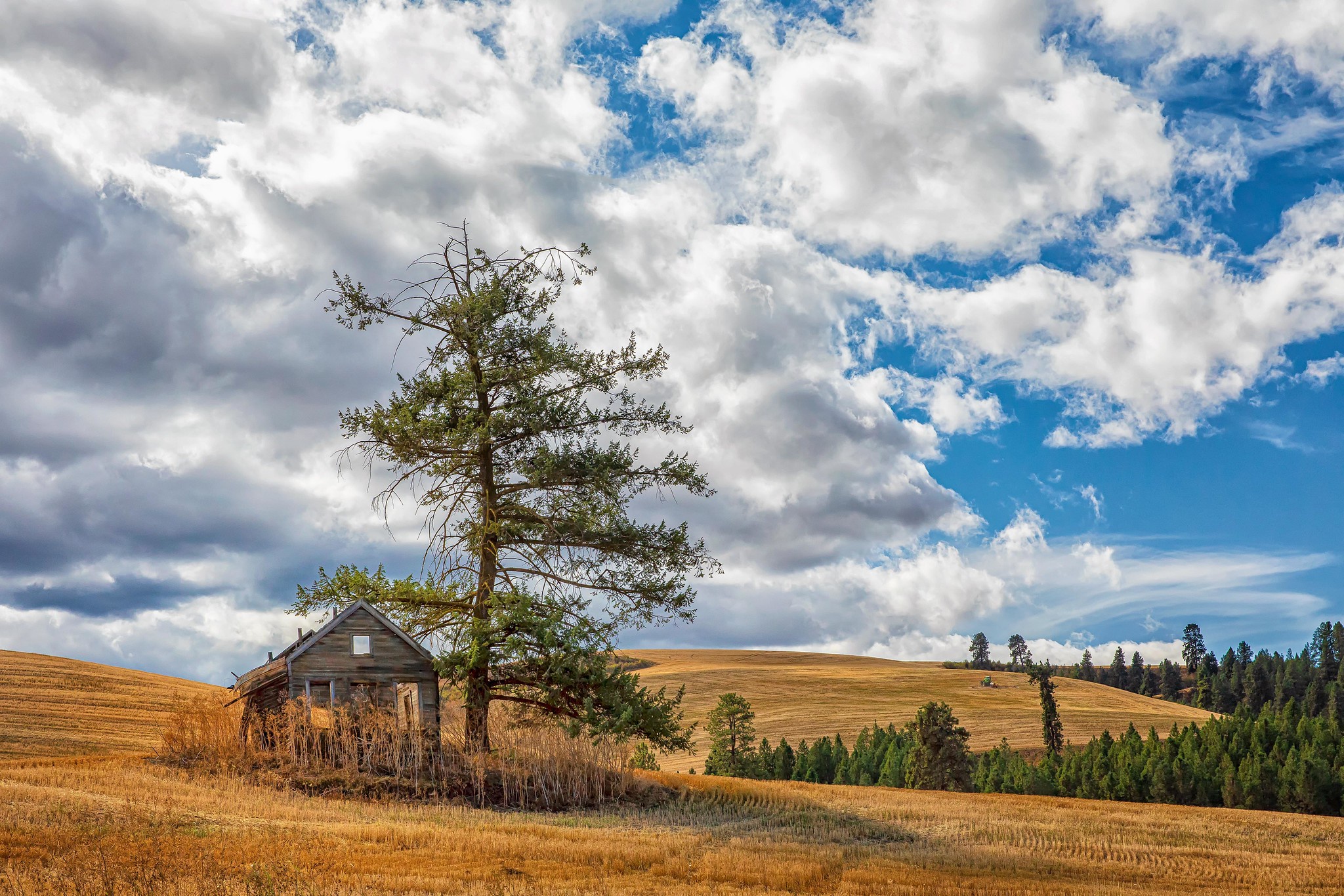 Idaho USA Landscape Trees Sky Ruin Clouds Cabin 2048x1365