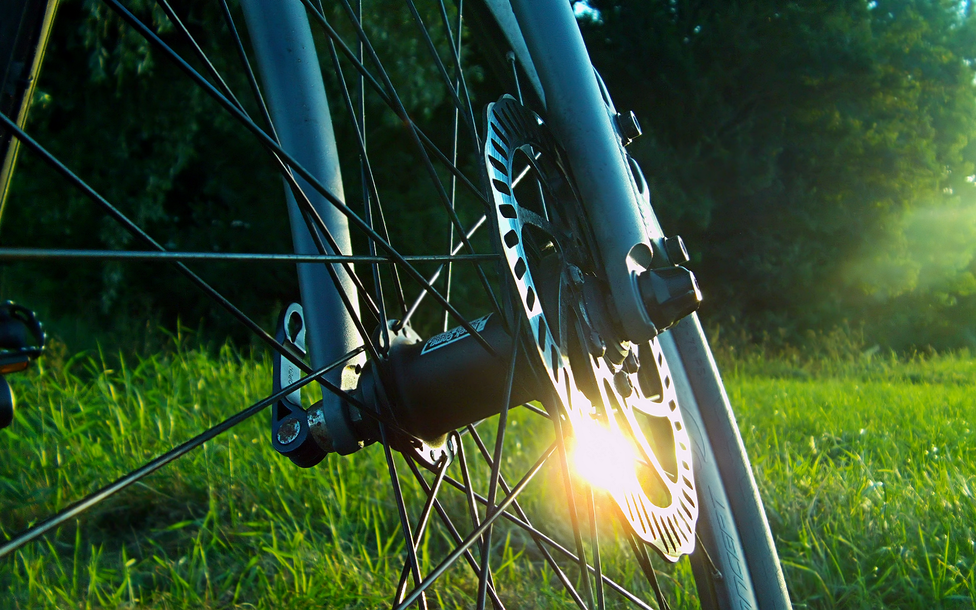 Reflection Sunlight Grass Bicycle Mountain Bikes 1920x1200