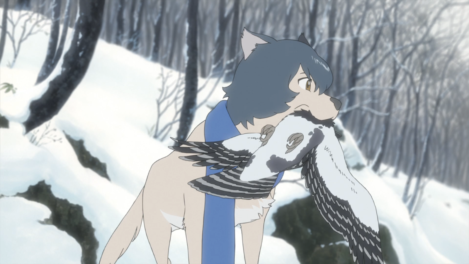 Ame Wolf Children Bird Snow Wolf Children Anime 1600x900