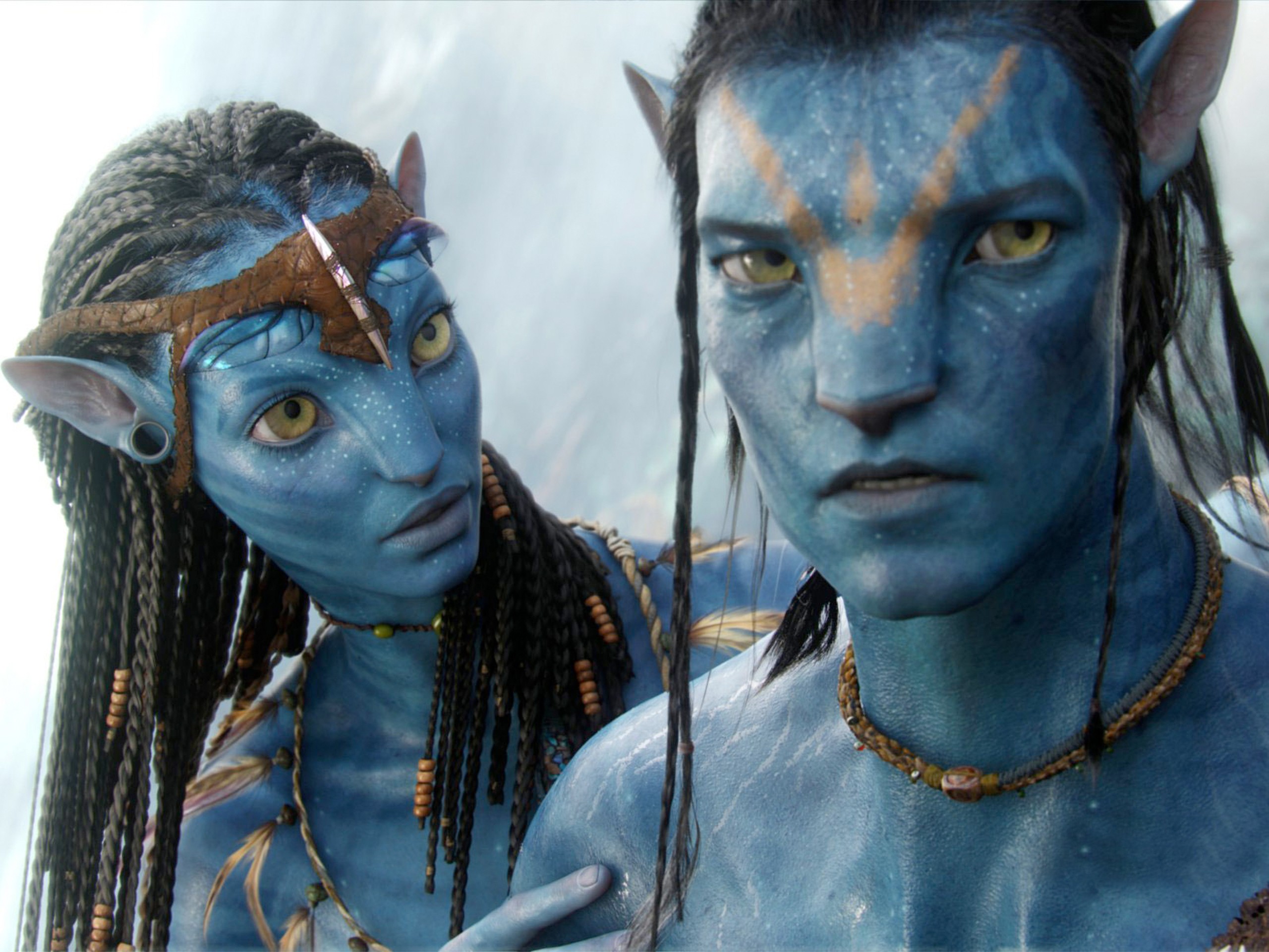 Avatar Blue Skin Movies Neytiri Navi Jake Sully 2560x1920