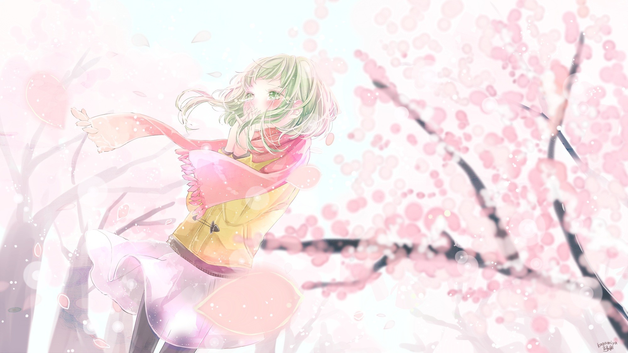 Vocaloid Megpoid Gumi Blushing Cherry Blossom Short Hair Green Hair Green Eyes Anime Girls Anime 2000x1125