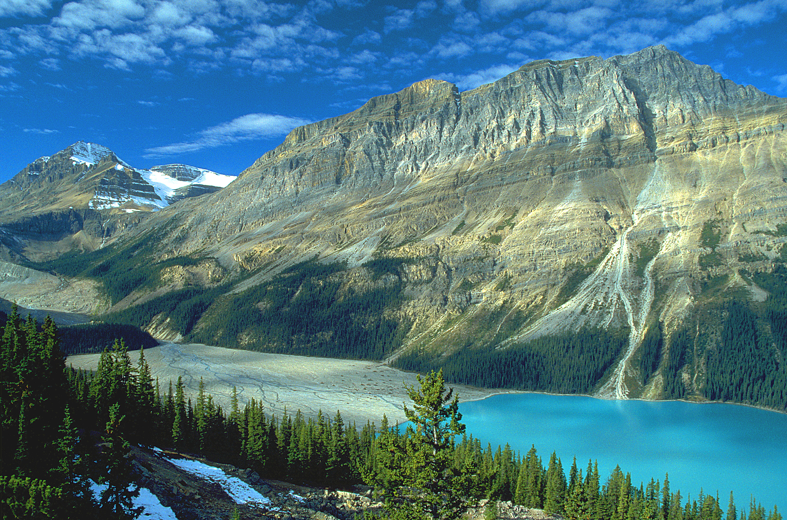 Earth Peyto Lake 2972x1967