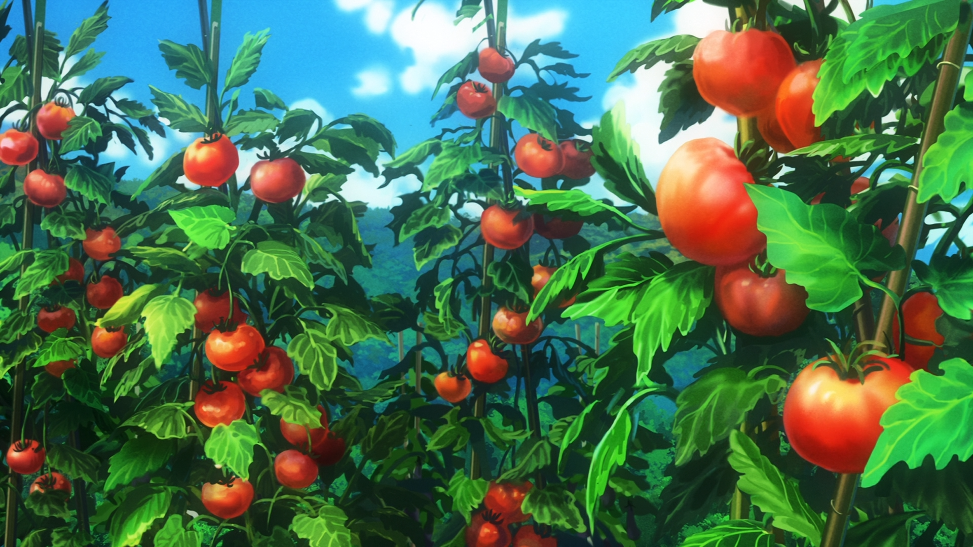 Non Non Biyori Tomatoes Plants 1920x1080