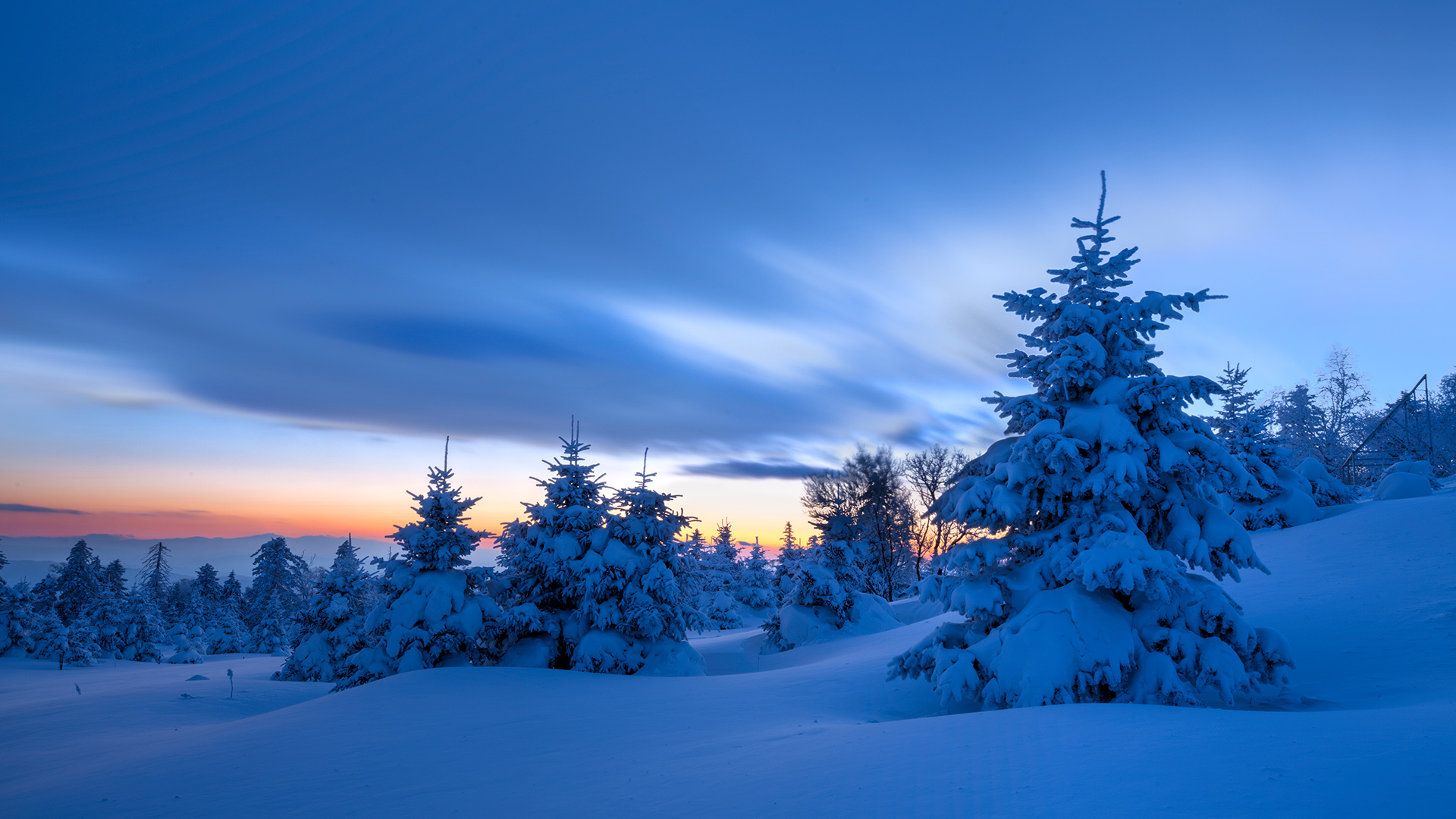 Snow Clouds Sky Sunset Mountains Trees Spruce Winter China Nature Landscape 1920x1080