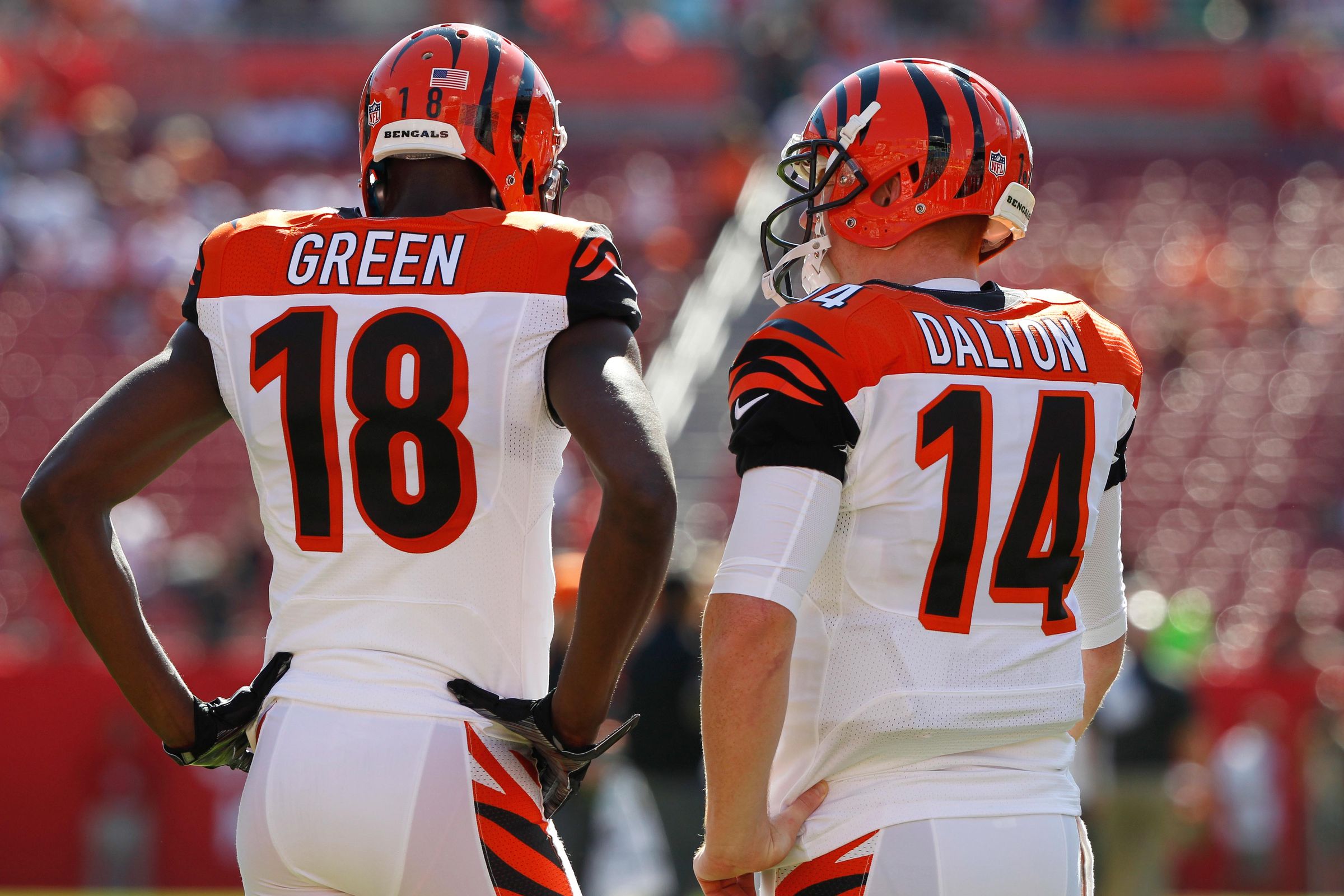 Sports Cincinnati Bengals 2400x1600