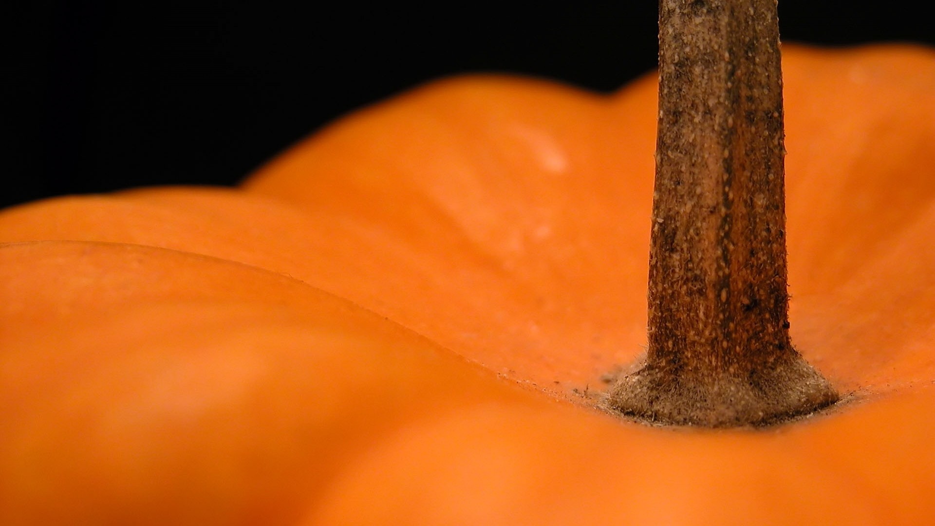 Food Plants Pumpkin Orange Black Background Depth Of Field Detailed Macro 1920x1080