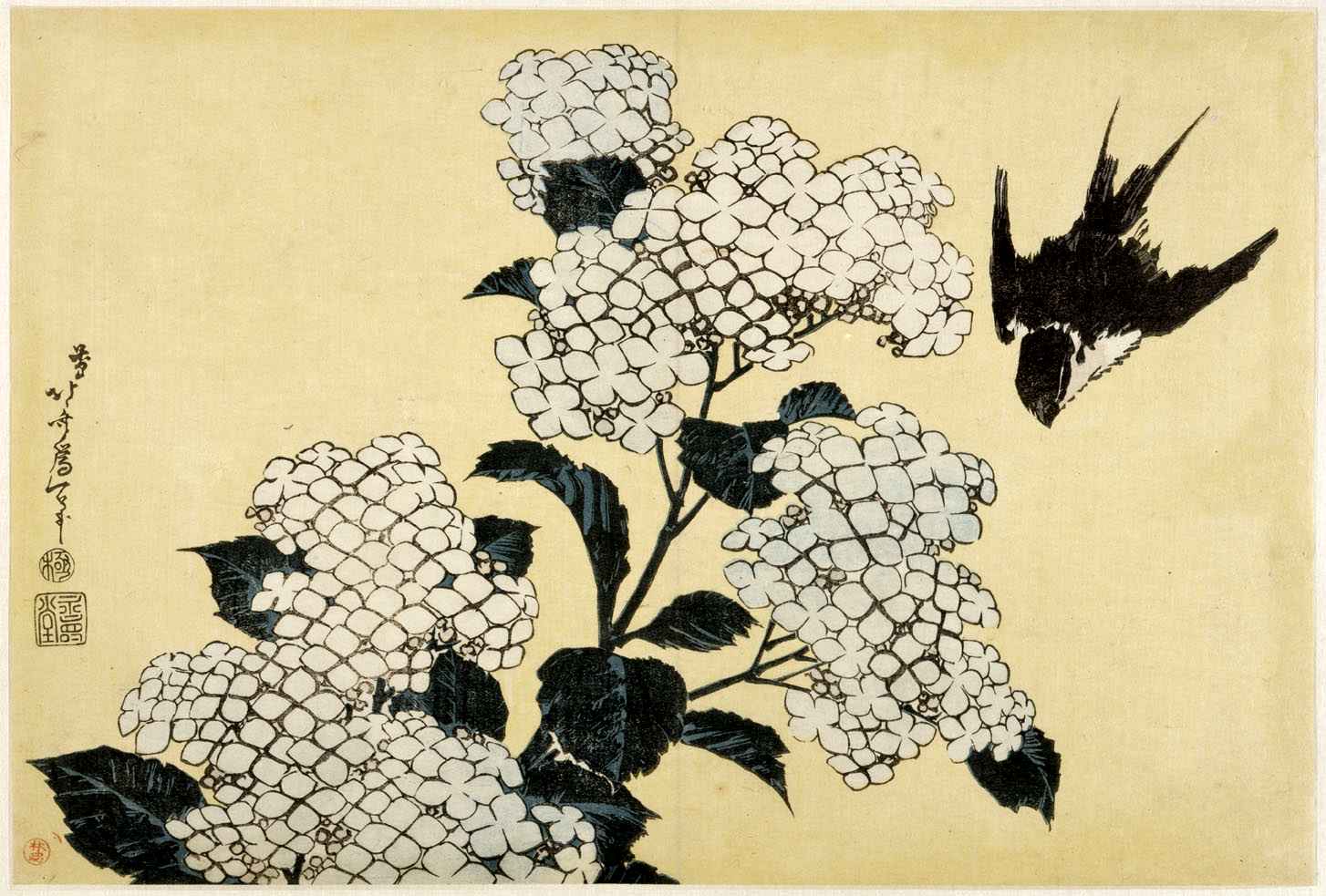 Hokusai Birds Swallow Bird 1454x983