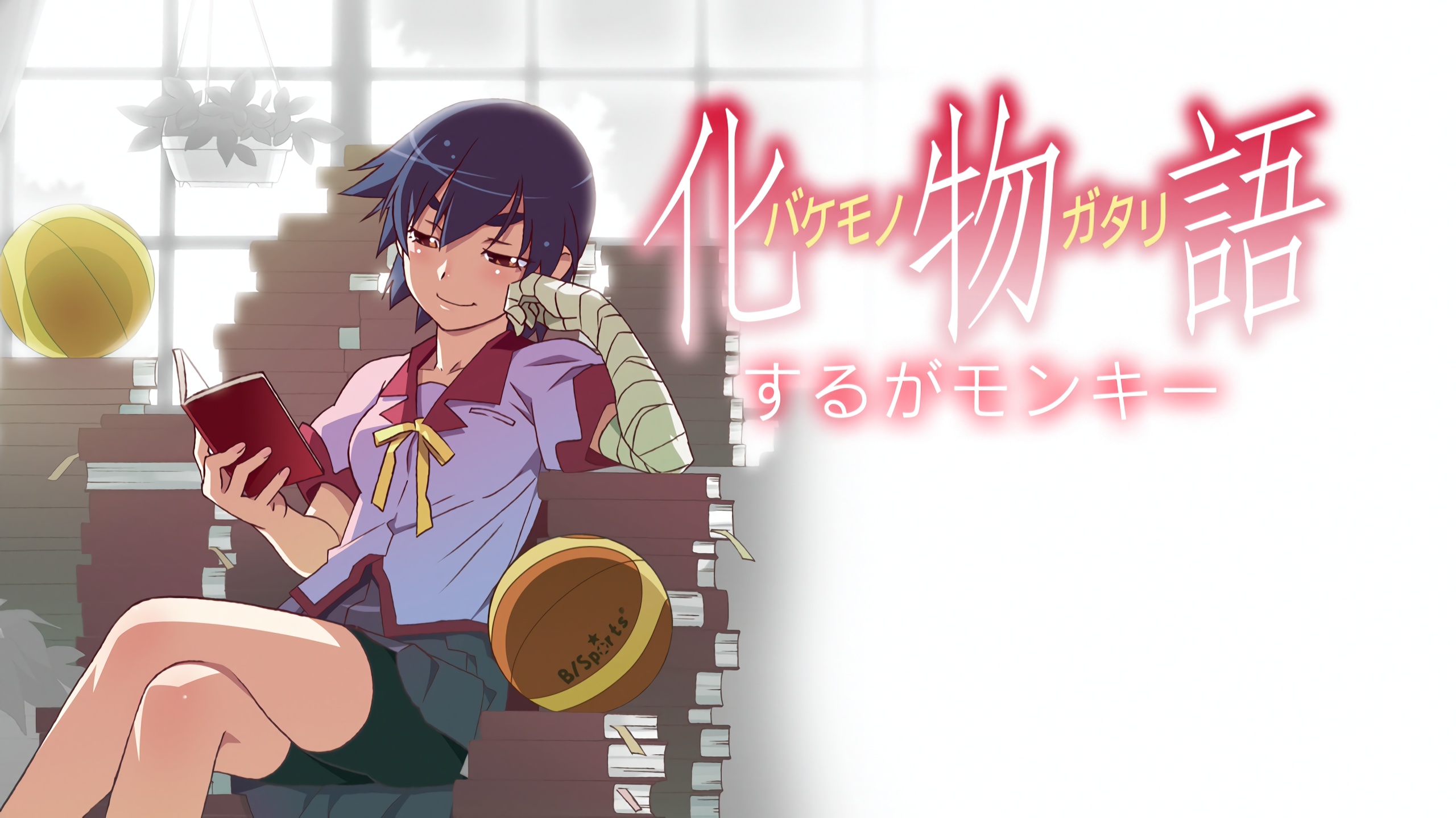 Anime Anime Girls Tomboy Monogatari Series Purple Hair Books Kanbaru Suruga Basketball Reading White 2560x1440