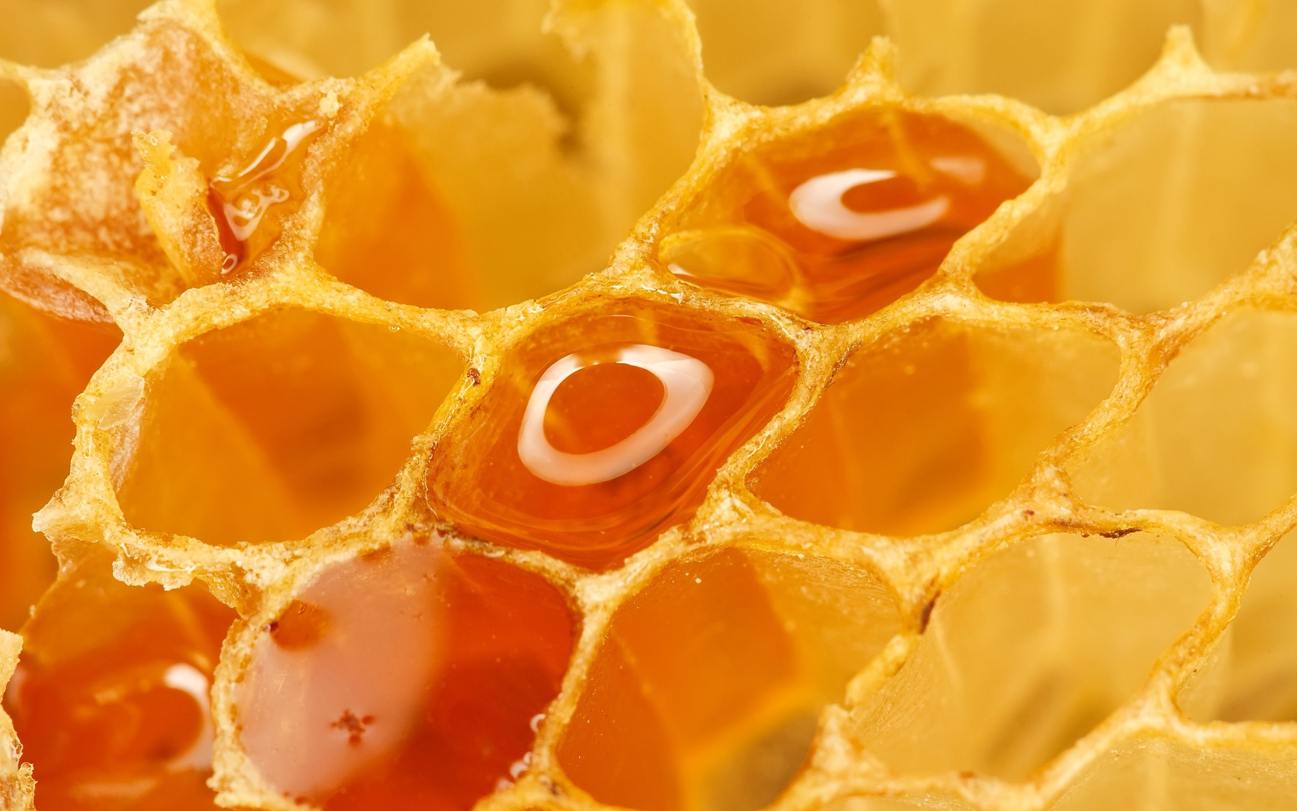 Food Honeycombs Honey Yellow Macro Orange 2560x1600