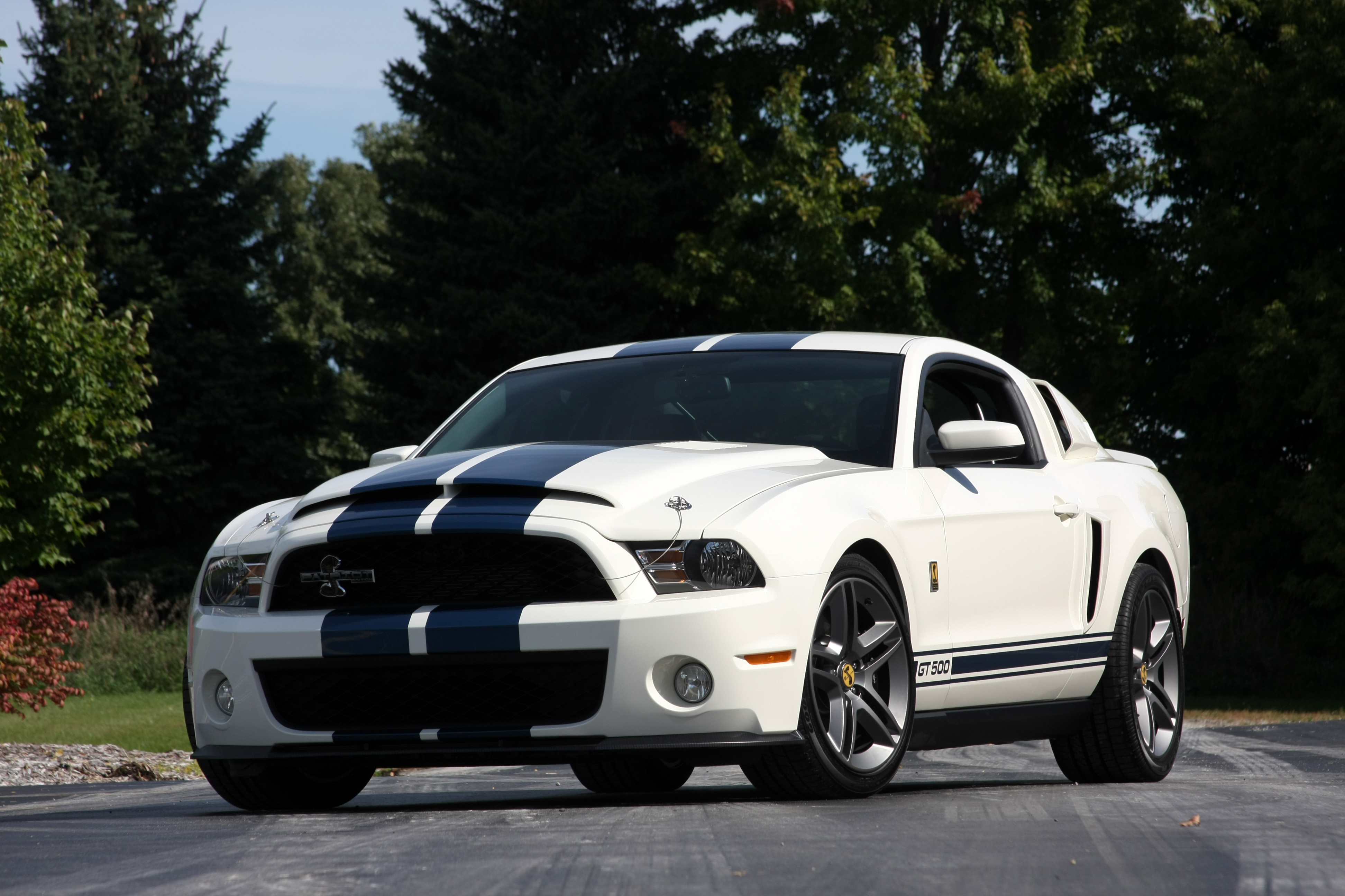 Shelby GT500 Muscle Car White Car 3888x2592