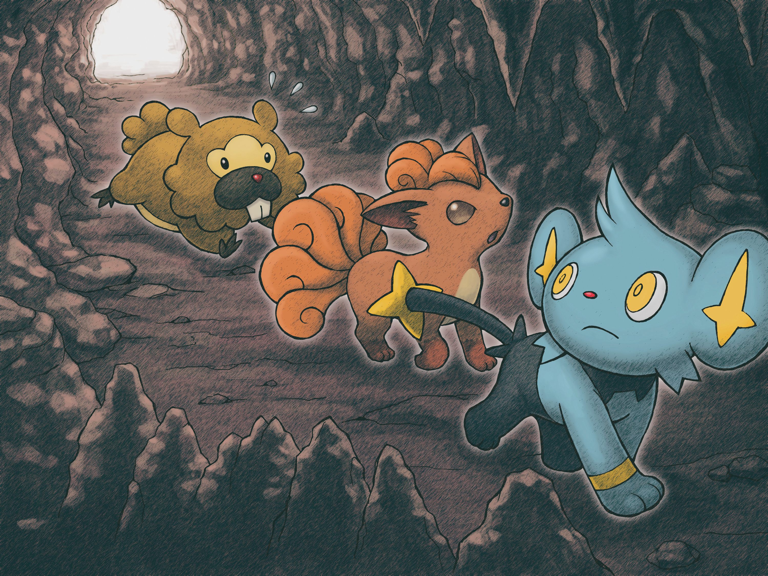 Bidoof Pokemon Shinx Pokemon Vulpix Pokemon Cave 3000x2250