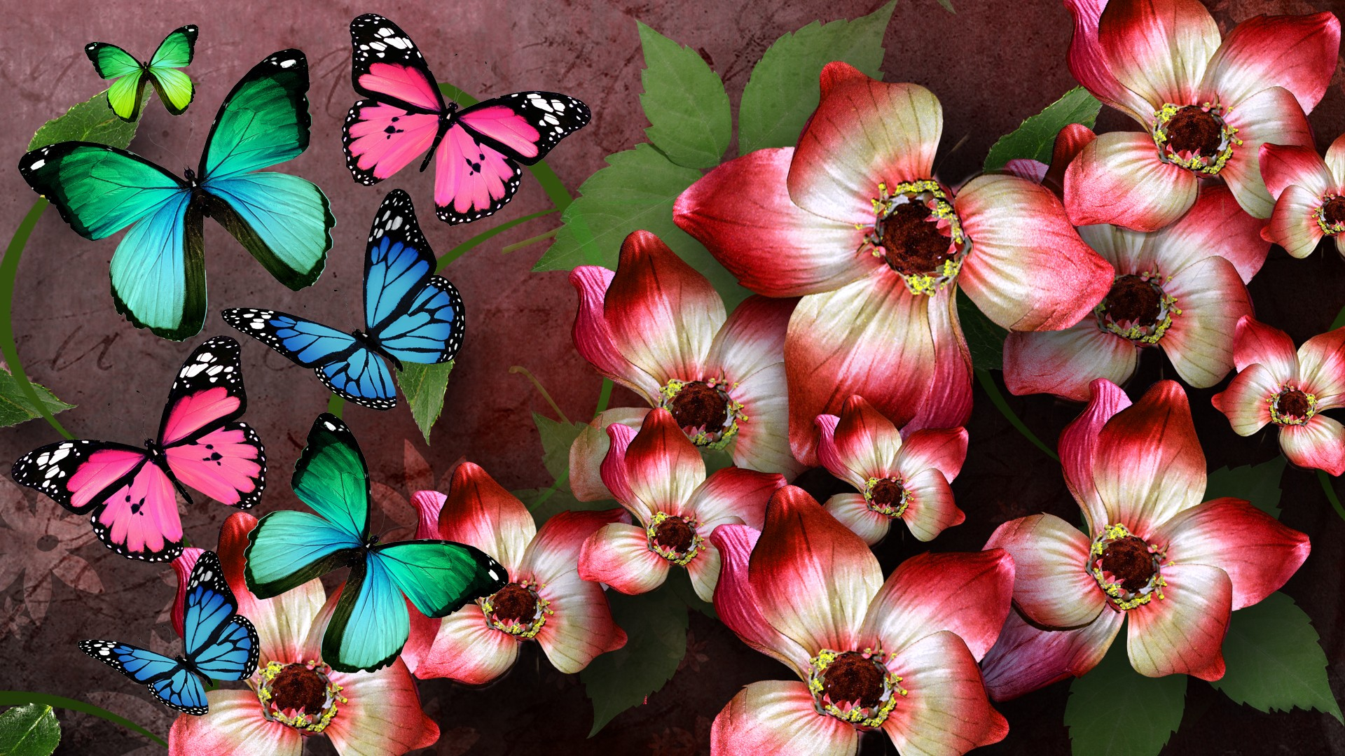 Artistic Butterfly Colorful Colors Flower 1920x1080