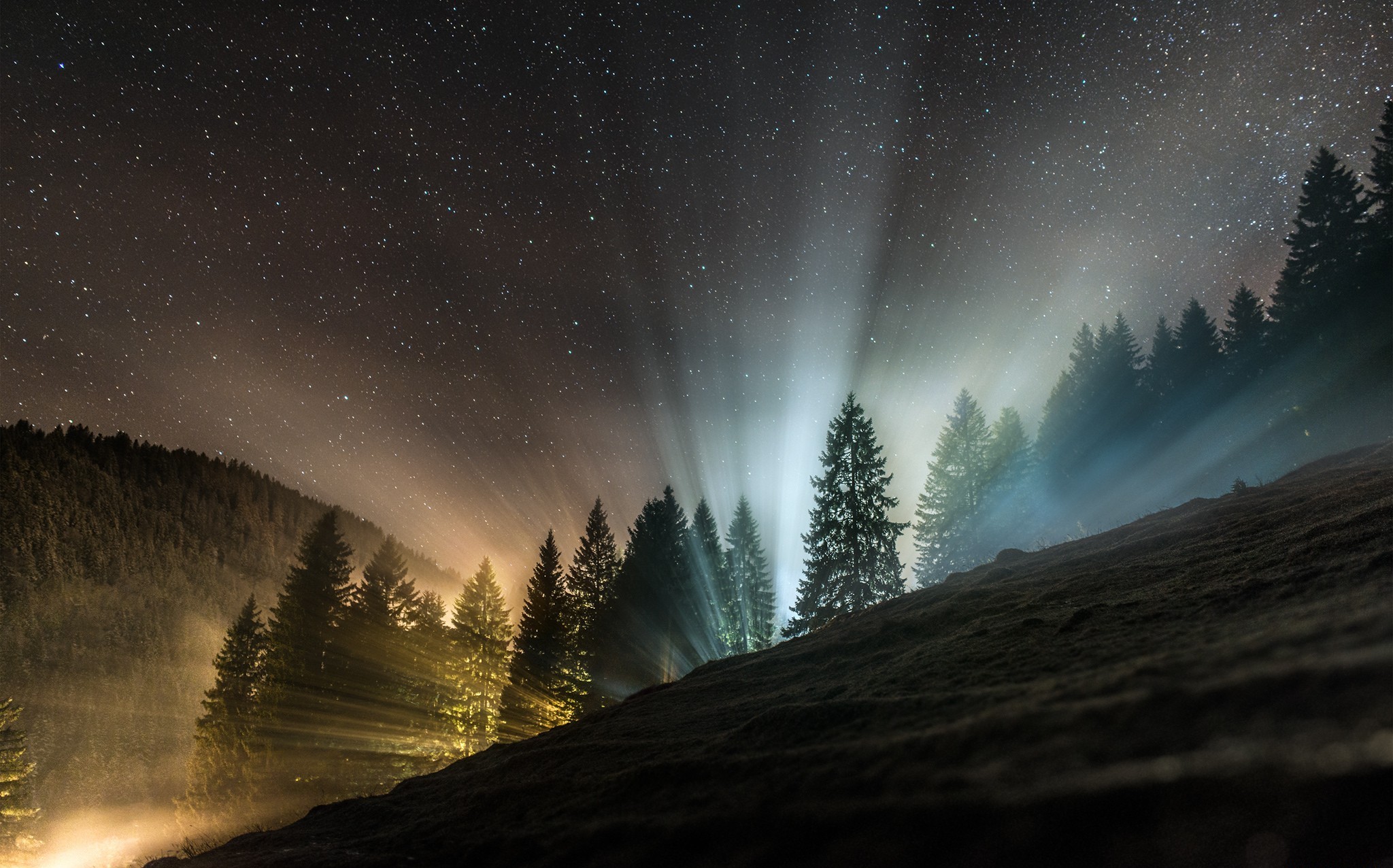 Alps Forest Sky Stars Switzerland 2048x1276