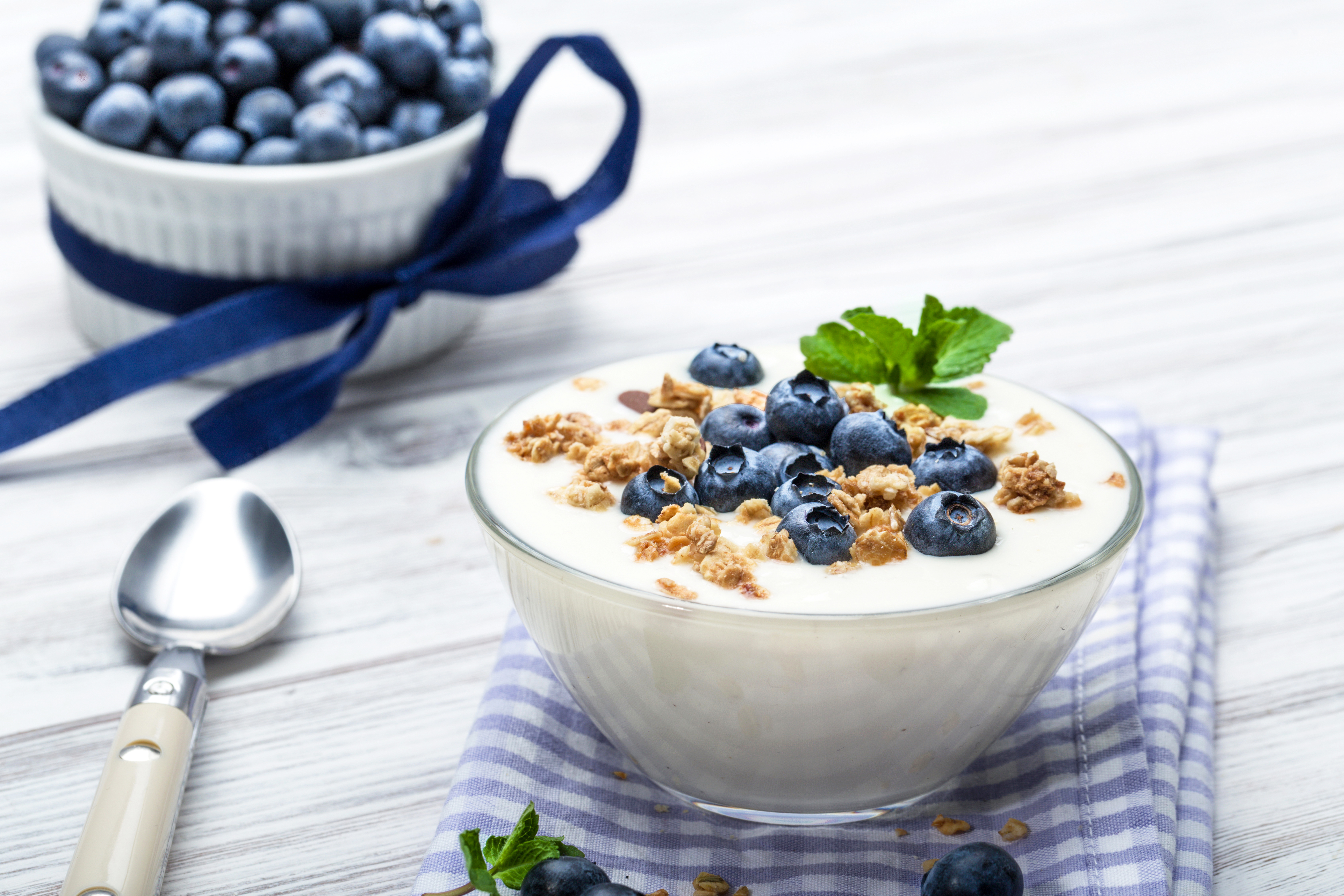 Yogurt Muesli Blueberry Breakfast 6750x4500