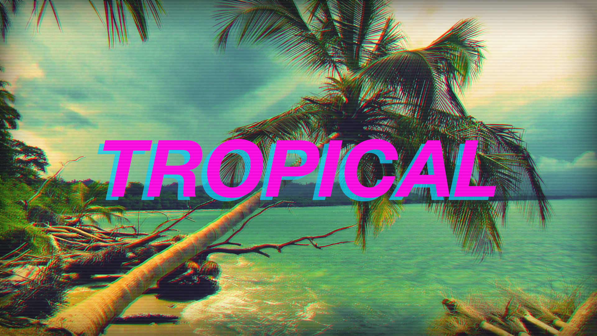 Tropical Vaporwave 1920x1080