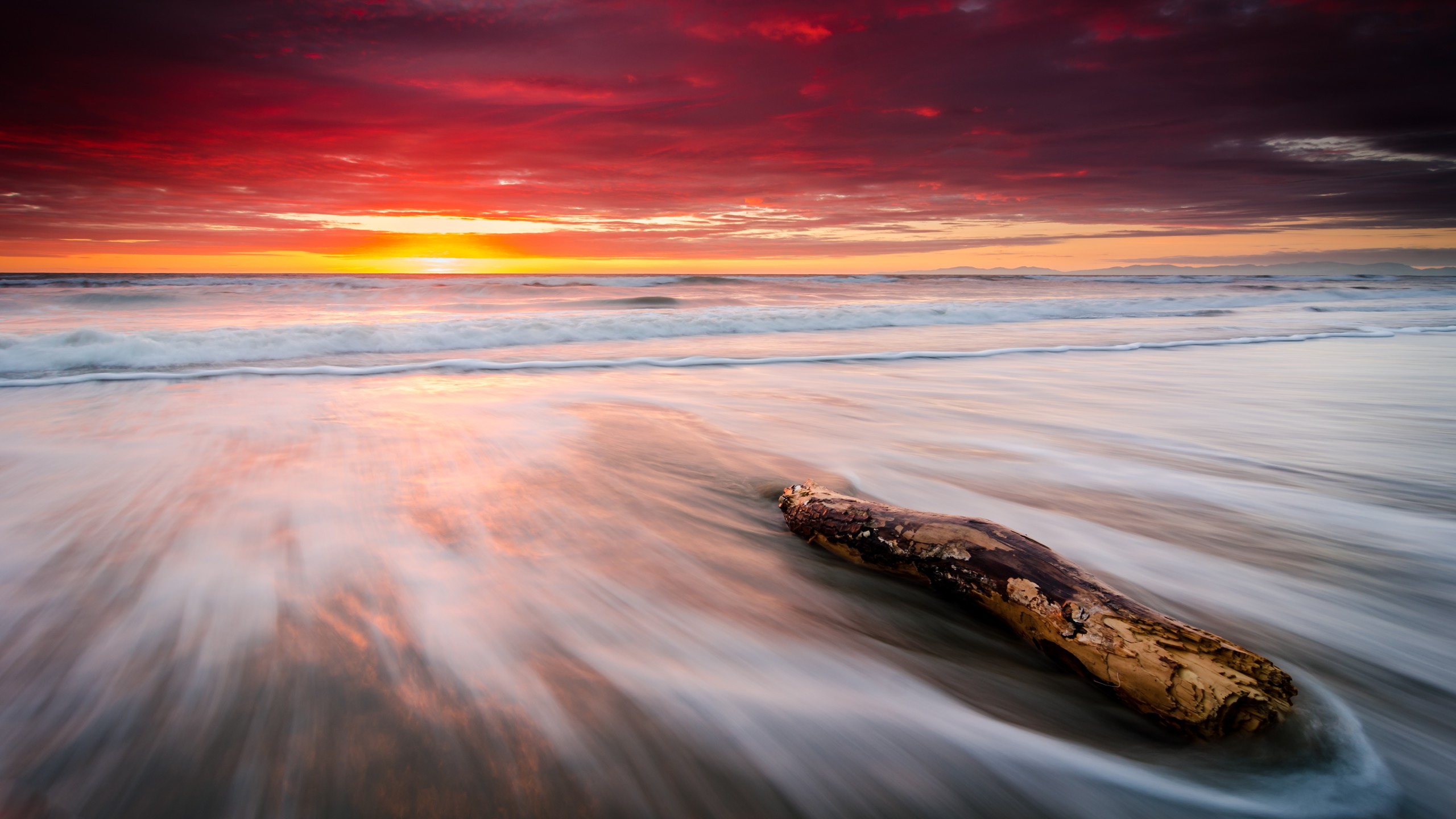 Branch Driftwood Earth Horizon Ocean Sea Sky Sunset Orange Color 2560x1440