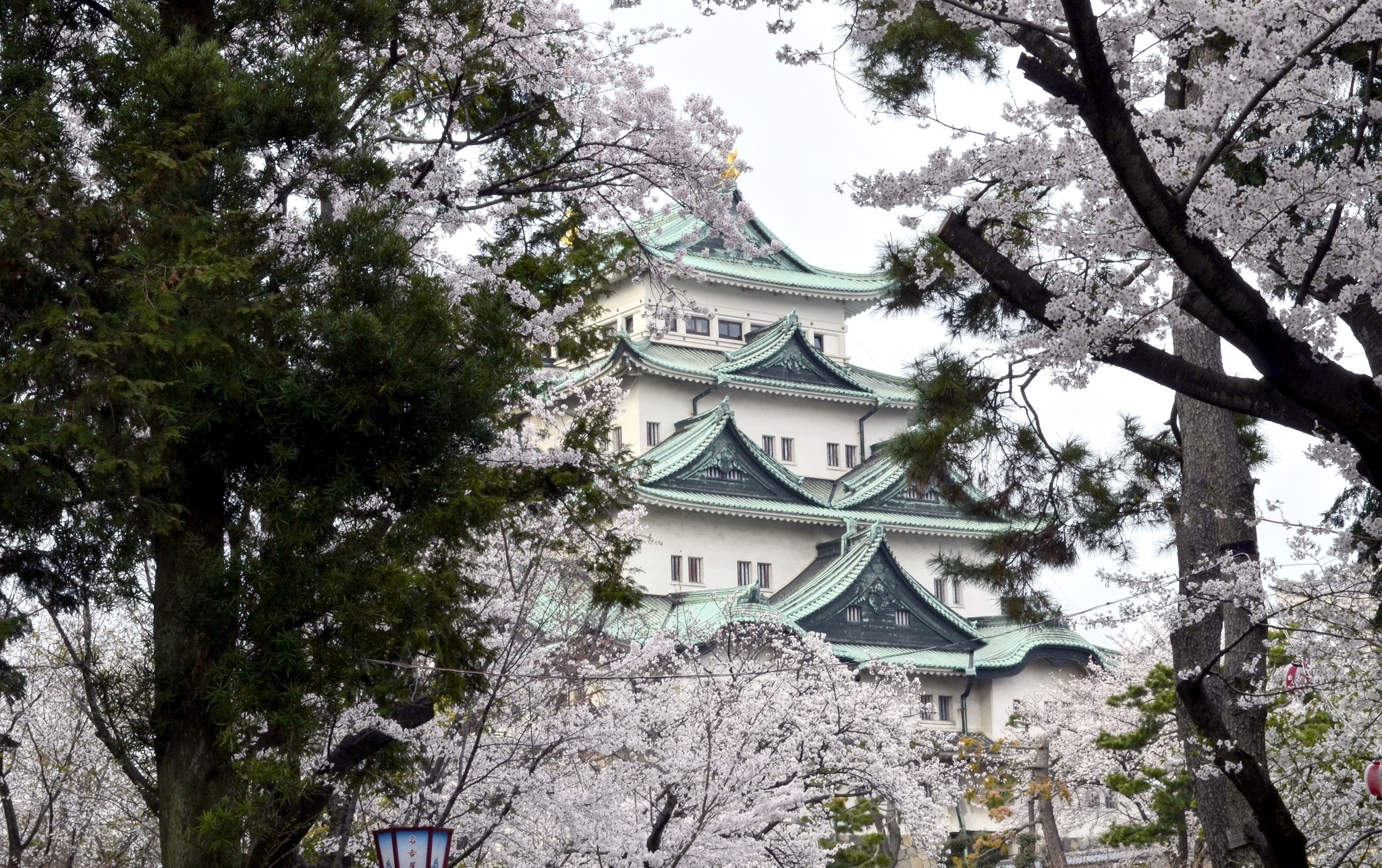 Japan Osaka Castle Sakura Blossom Spring 2048x1287