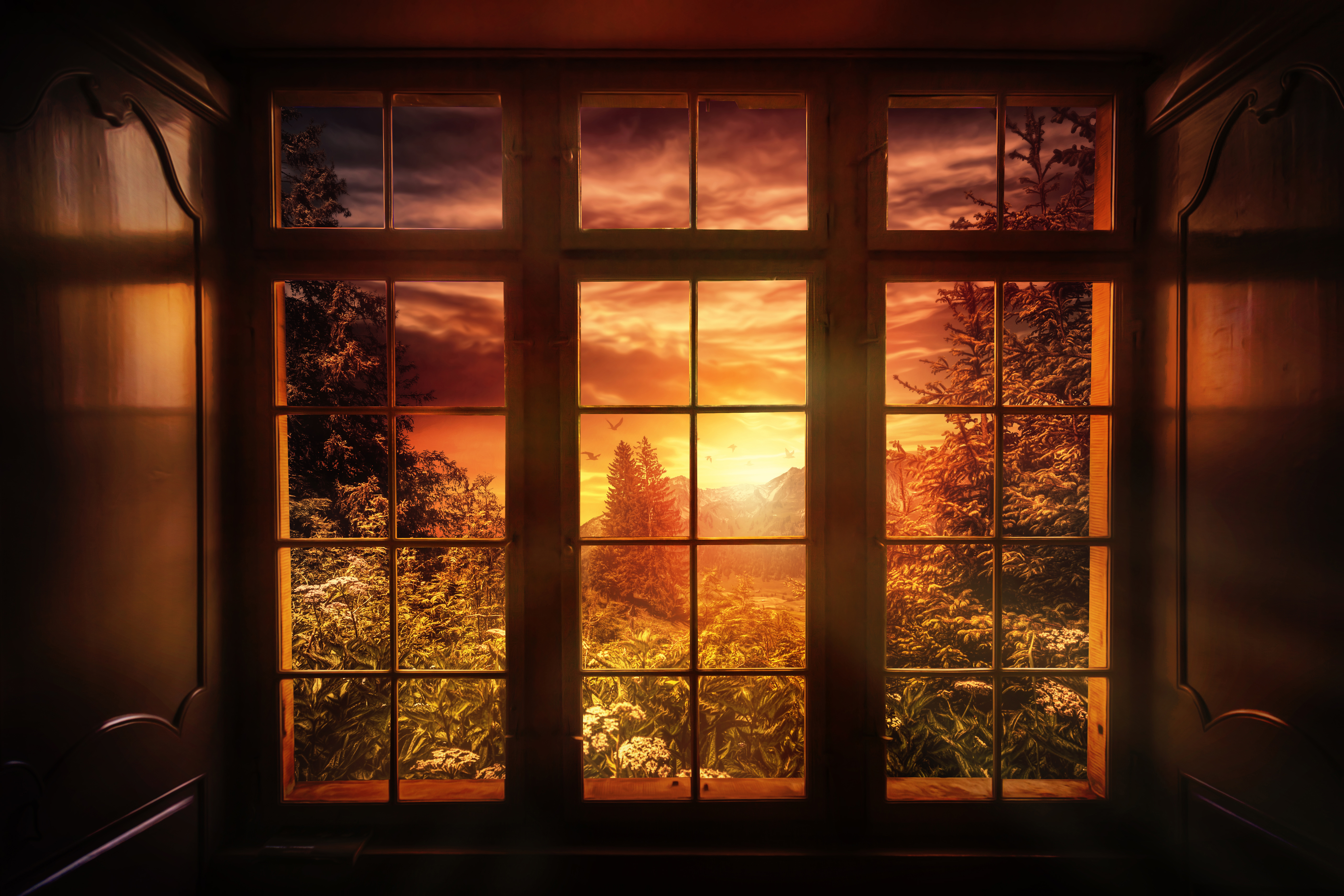 Artistic Window Sunset Winter Tree 5616x3744