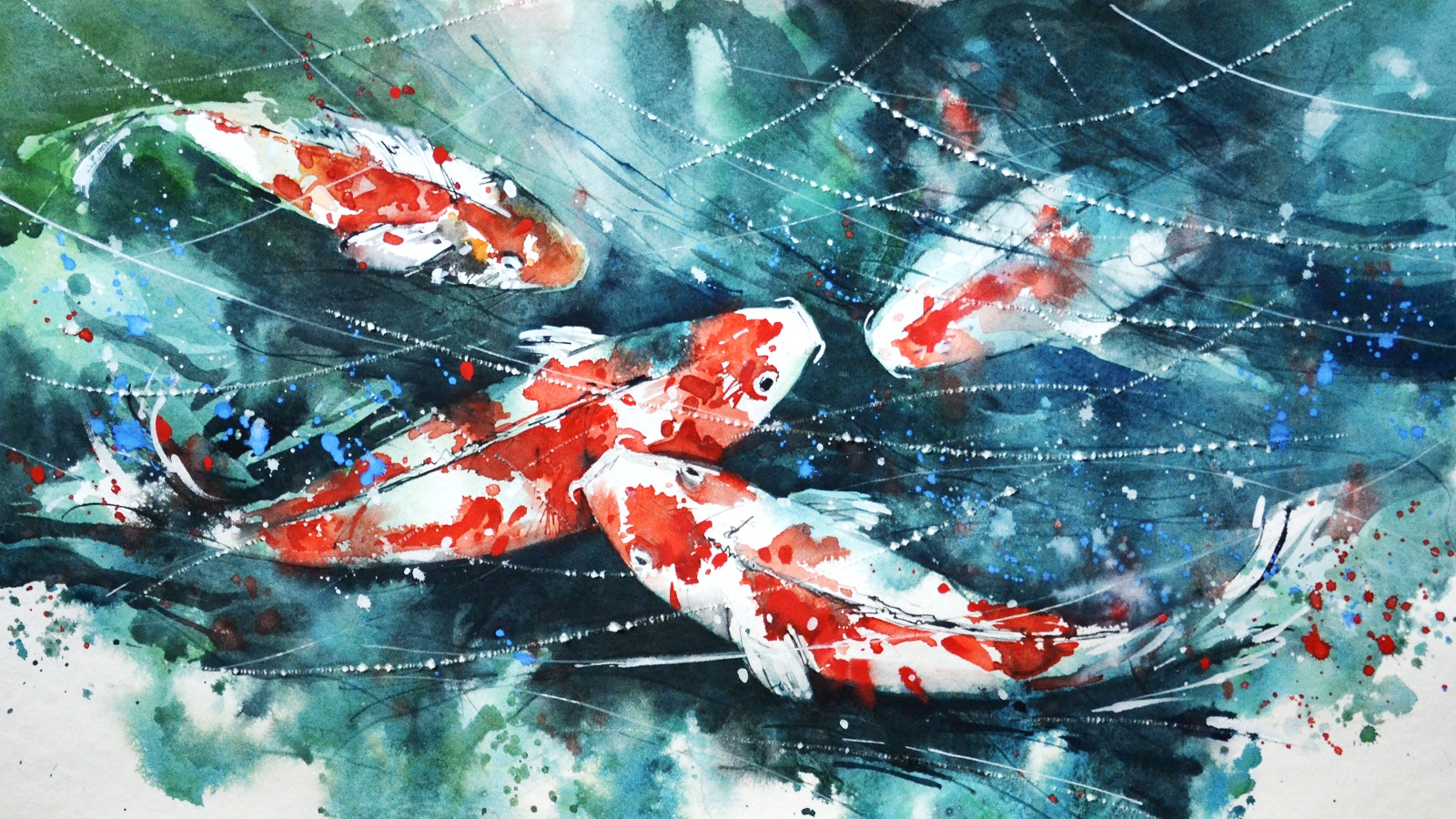 Animal Koi 1600x900