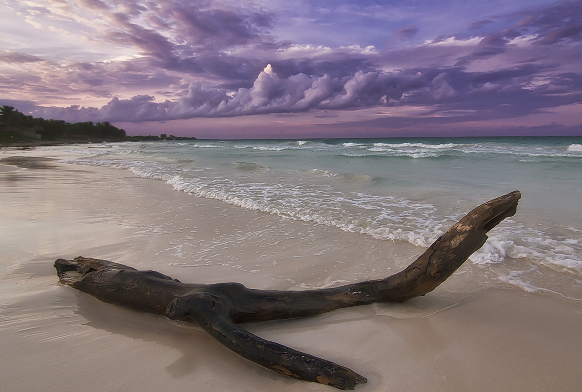 Beach Blue Cloud Driftwood Earth Horizon Ocean Sea Sky 1920x1294