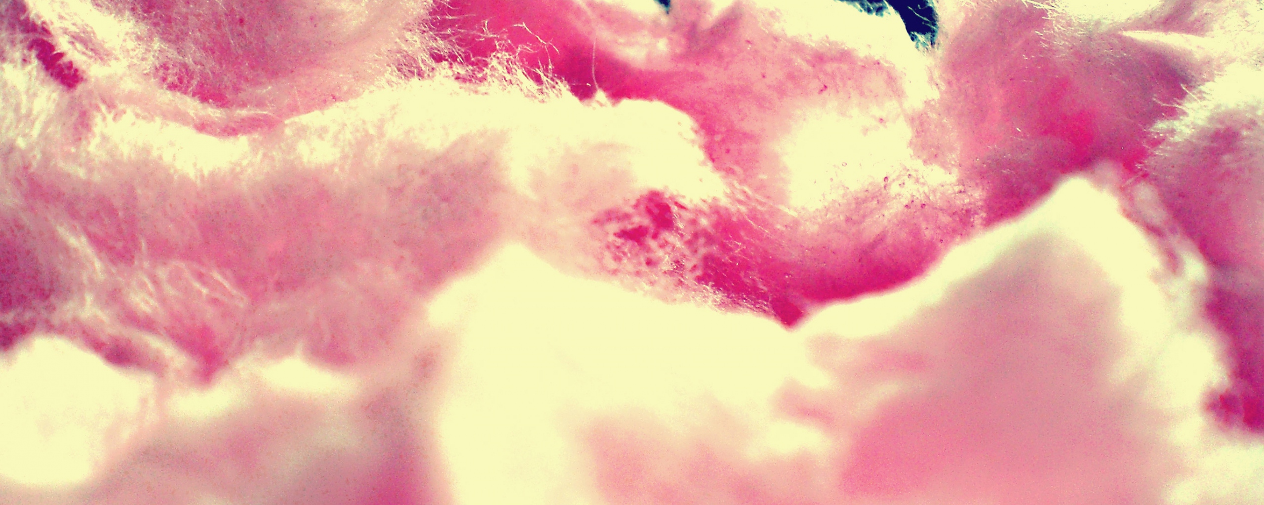 Food Cotton Candy 2560x1024