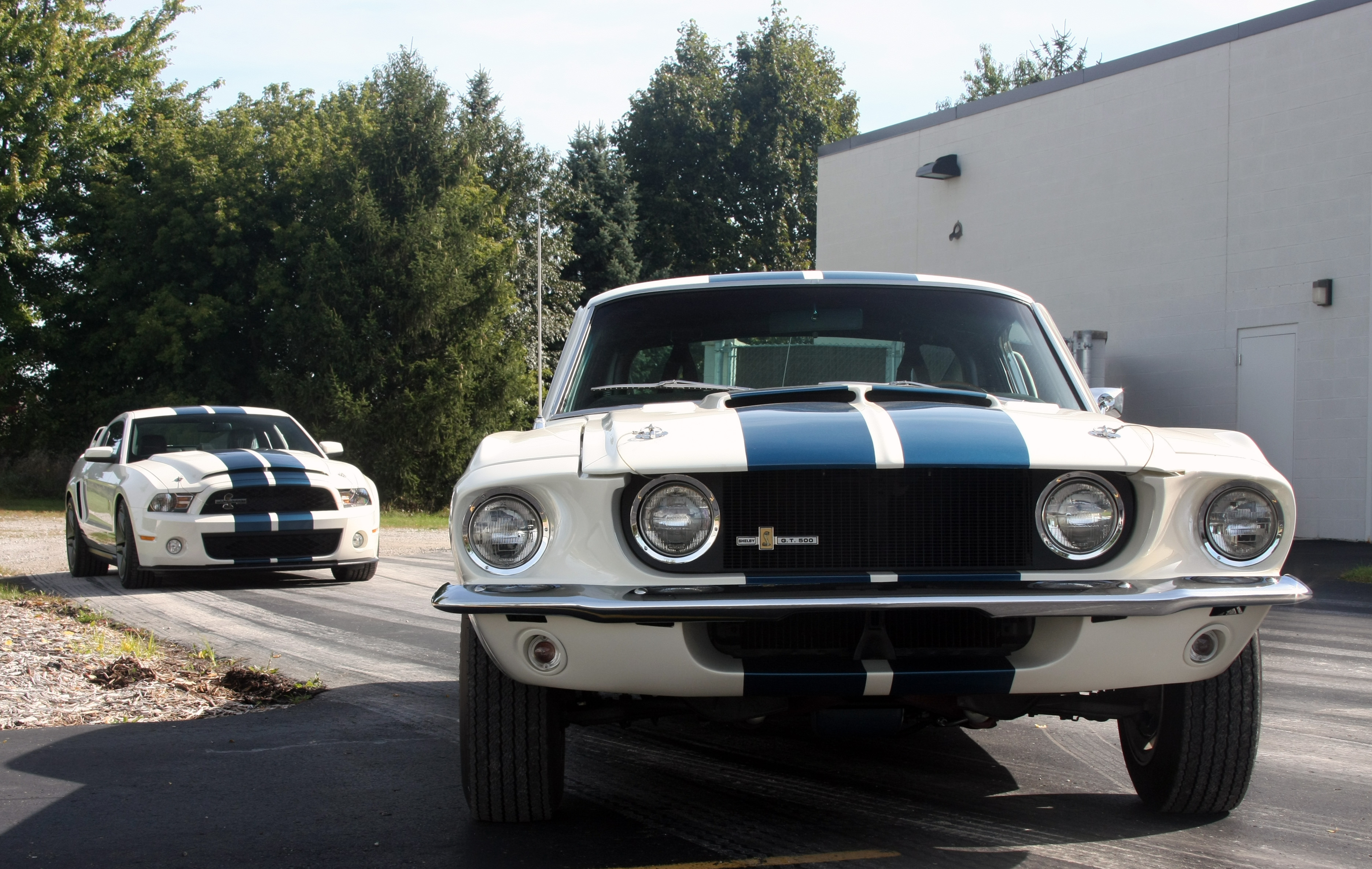 Shelby GT500 Muscle Car White Car 3744x2372