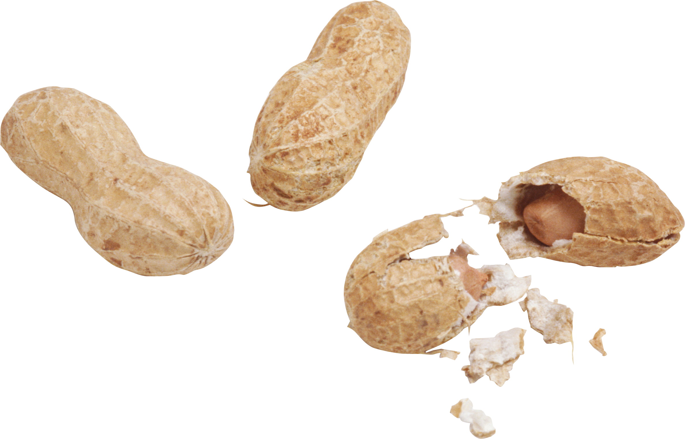 Food Peanut 2375x1523