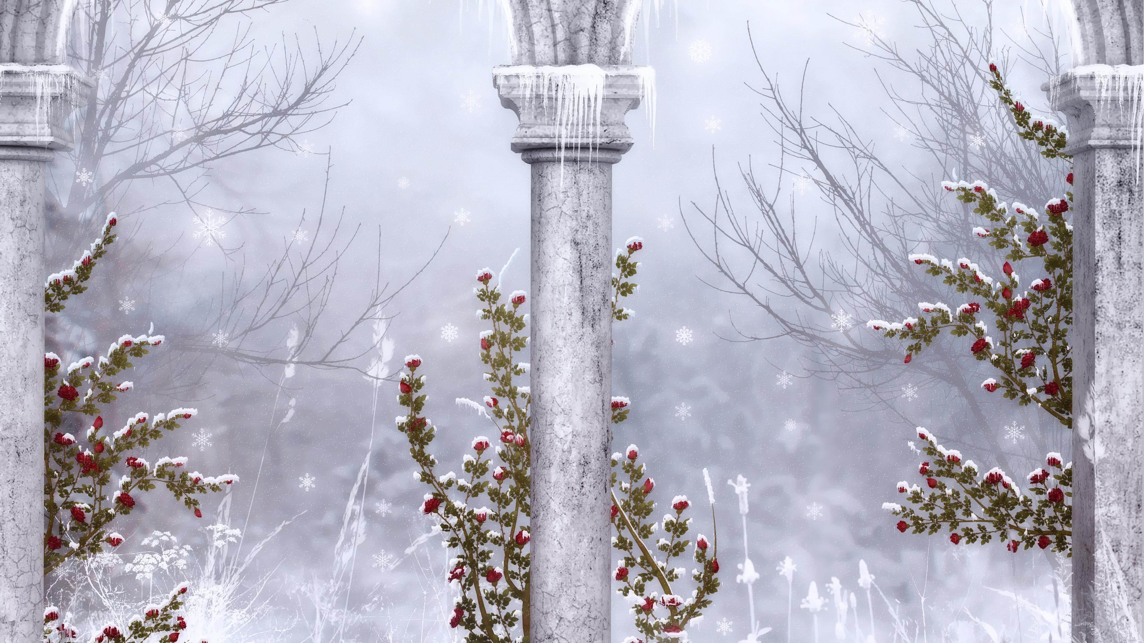 Winter Columns White Flower Rose Red Flower Artistic 3840x2160