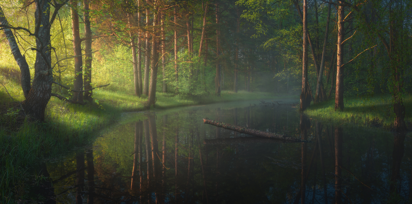 Ilya Melikhov Landscape Swamp Trees Water Grass Dark Tree Stump Reflection 1700x844