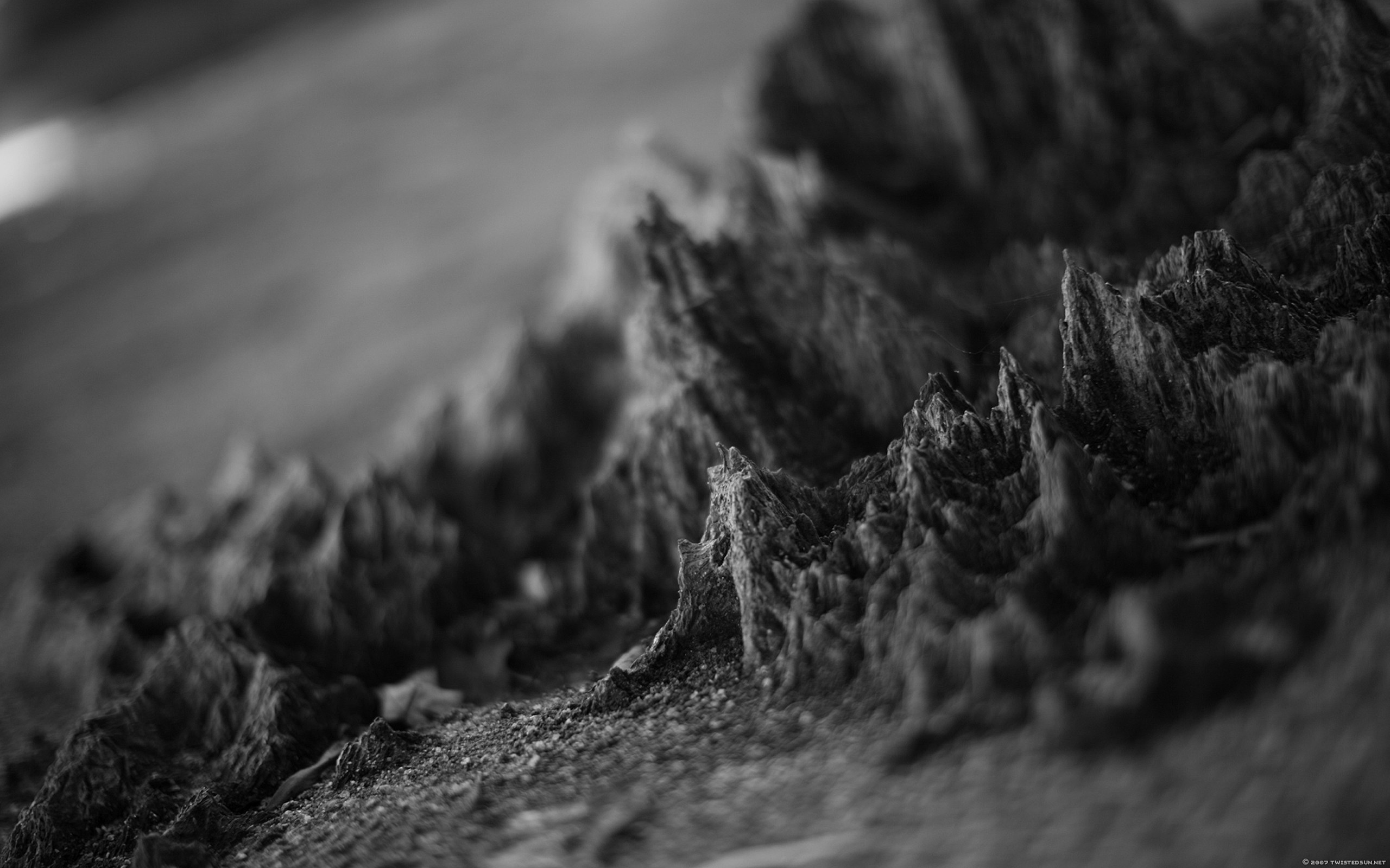 Monochrome Textured Macro Abstract Simple Background Digital 2560x1600