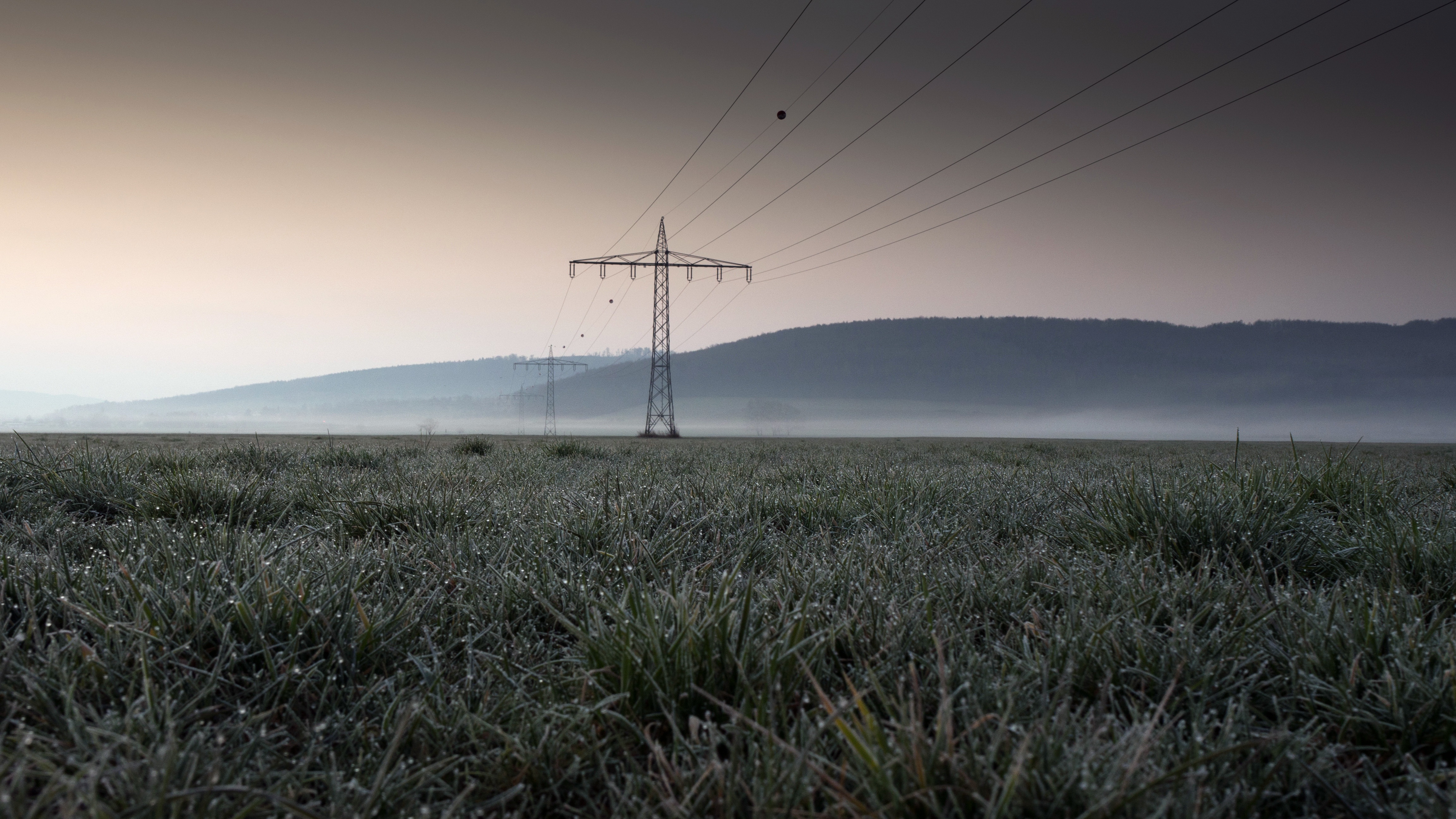 Fog Grass Morning Power Line 4608x2592